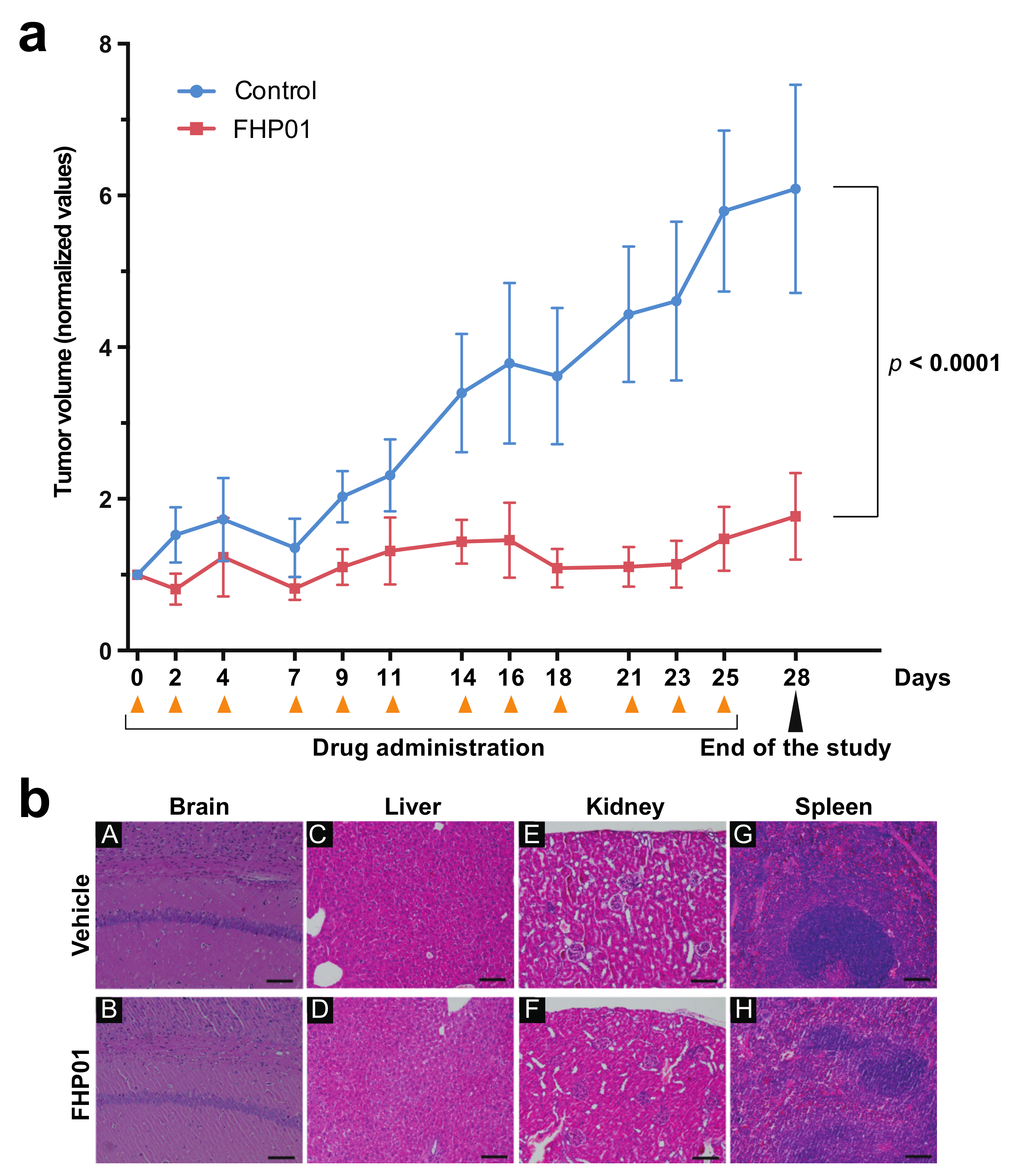 Cancers 13 04830 g004 550