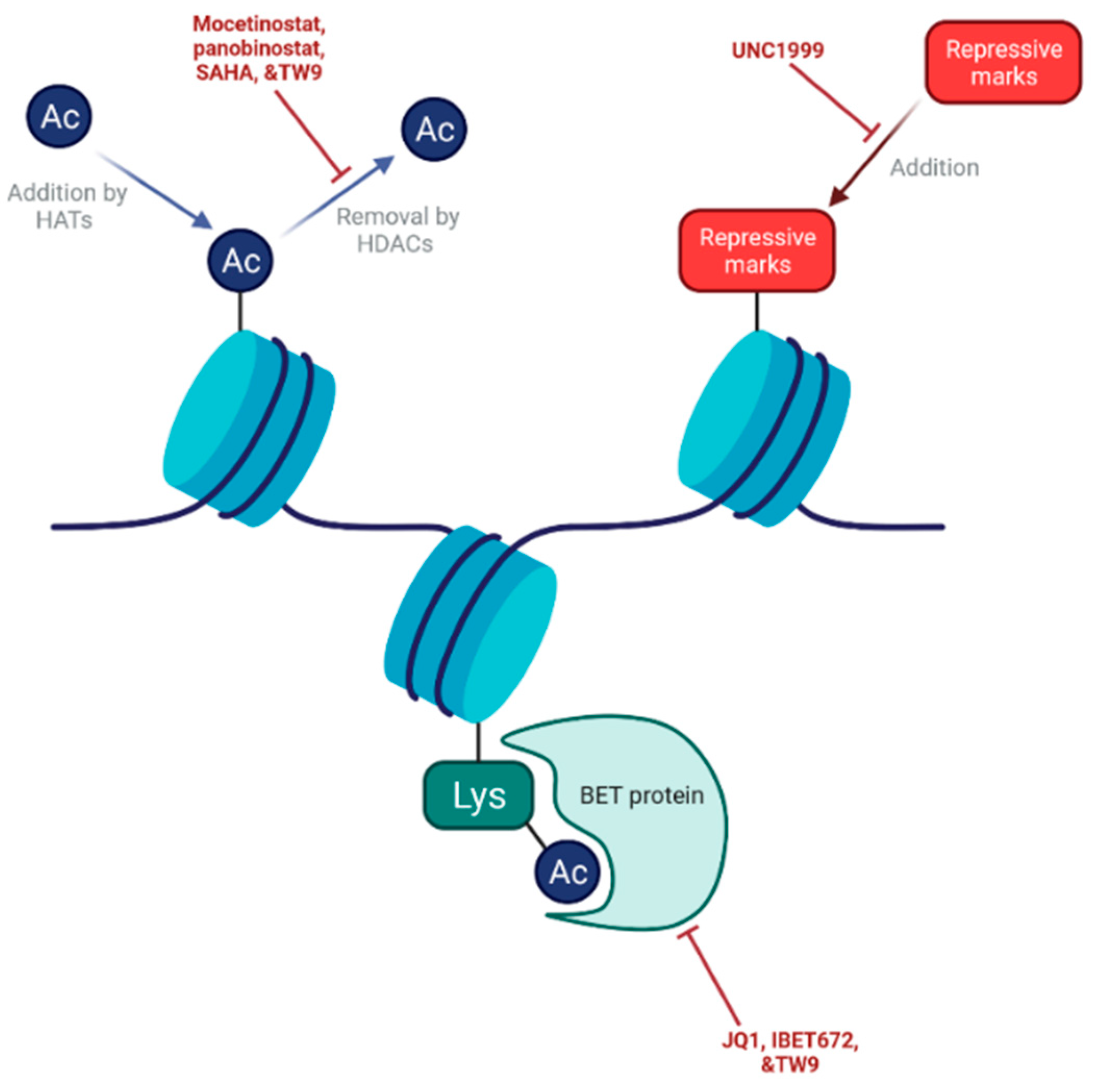 Cancers 13 04834 g005