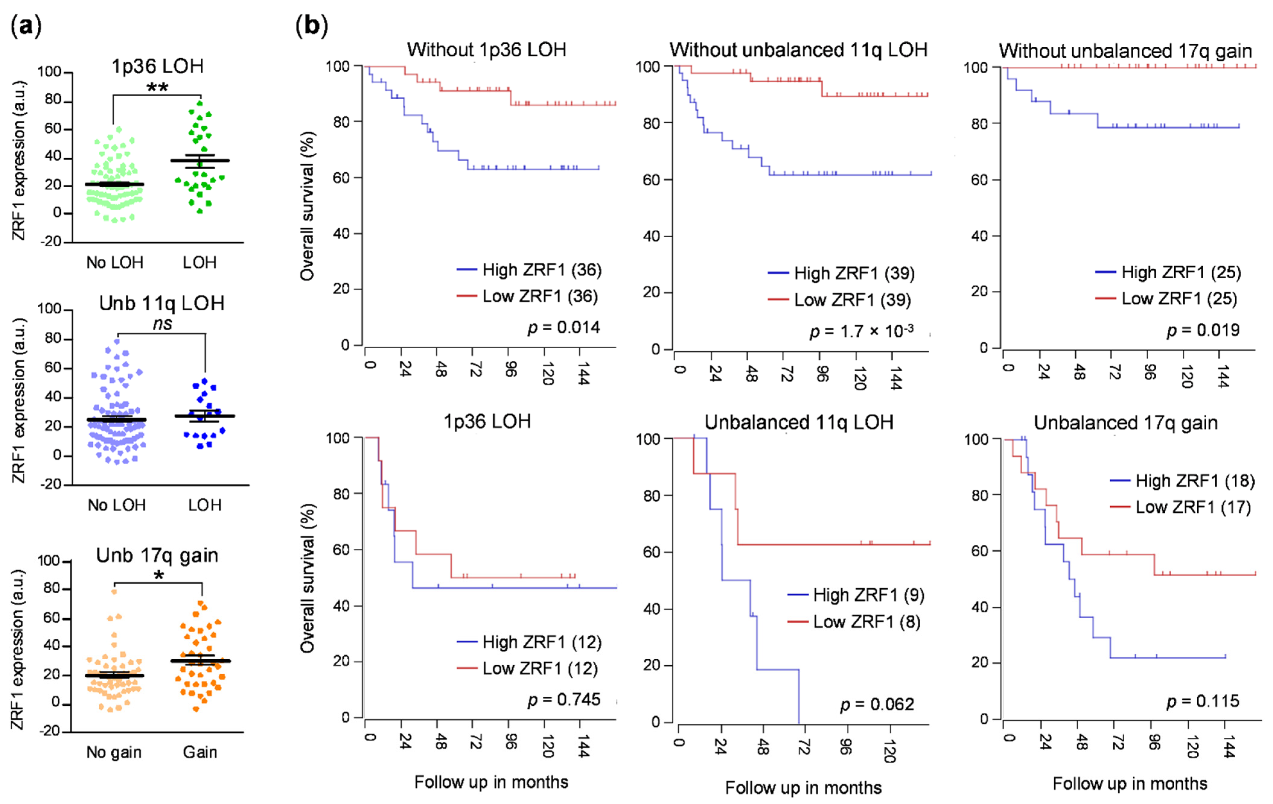 Cancers 13 04845 g002 Cancers 13 04845 g002