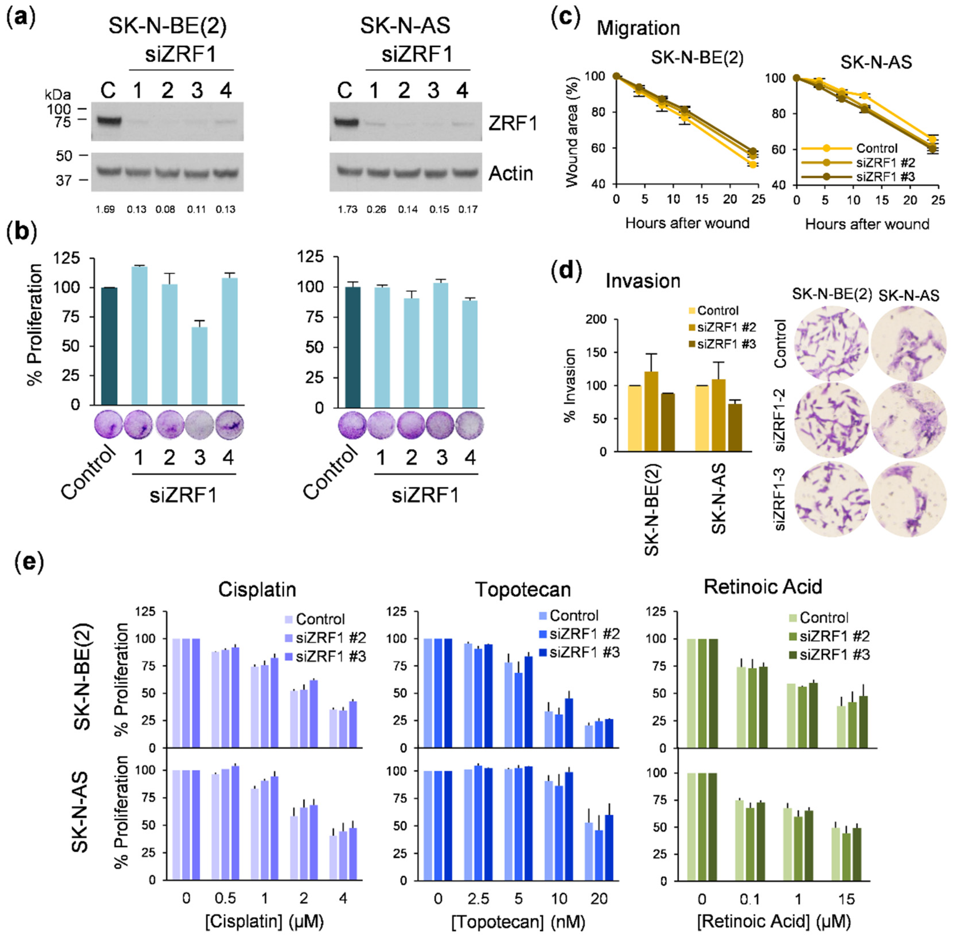 Cancers 13 04845 g006 Cancers 13 04845 g006
