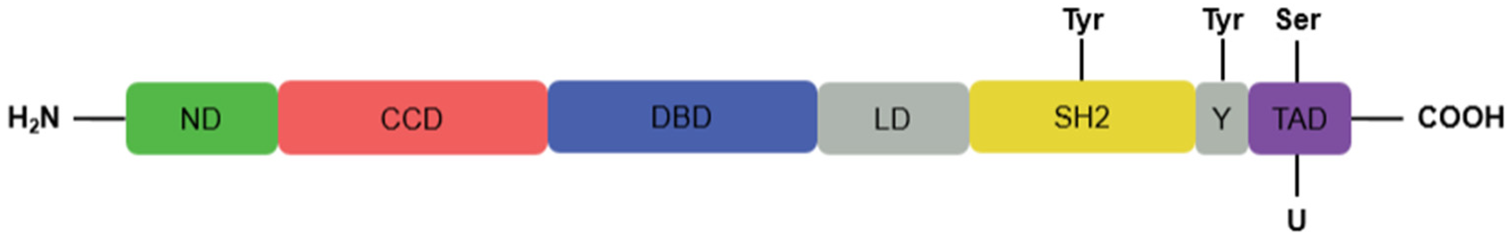 Cancers 13 04854 g001 Cancers 13 04854 g001