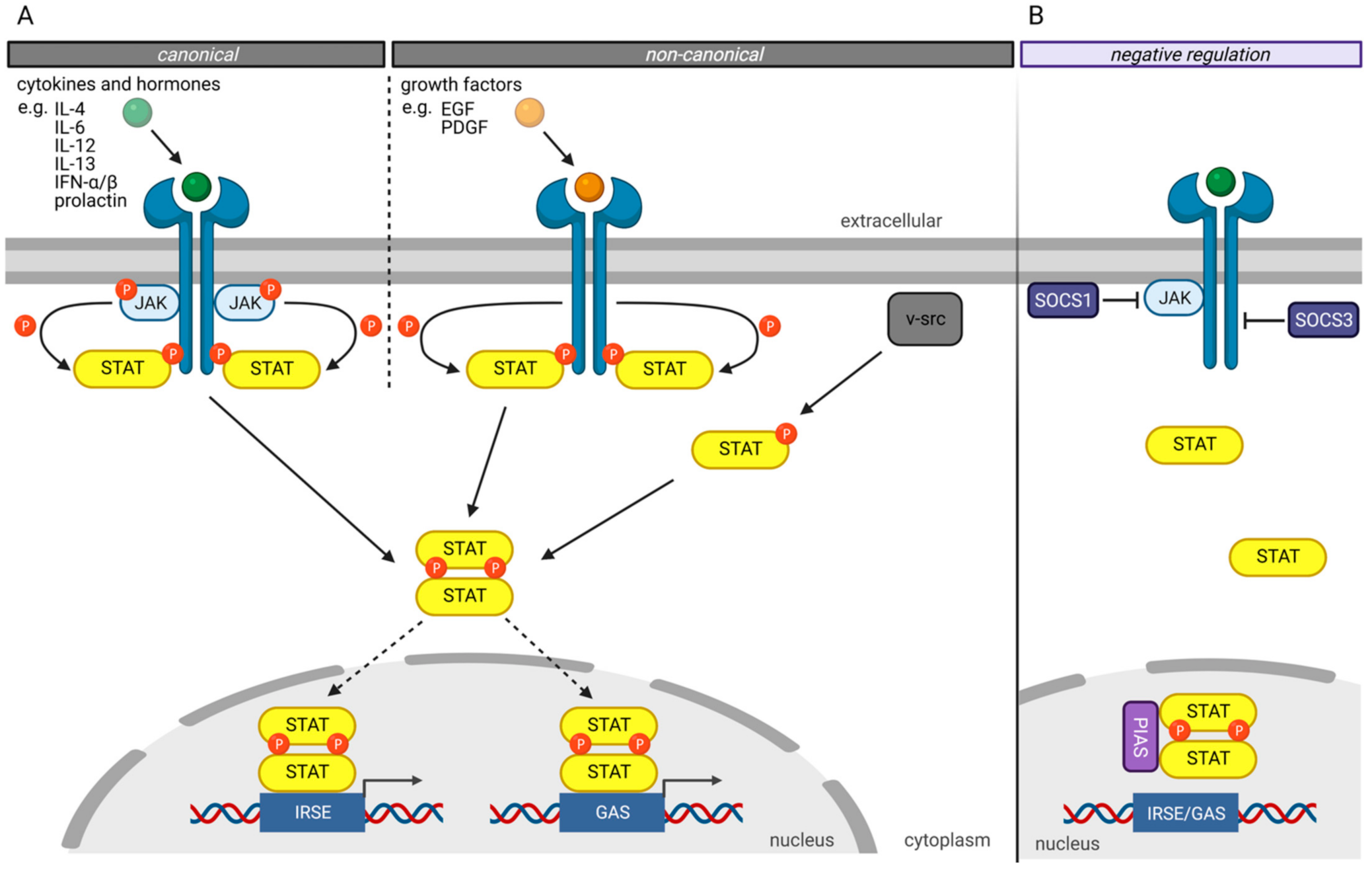 Cancers 13 04854 g002 Cancers 13 04854 g002