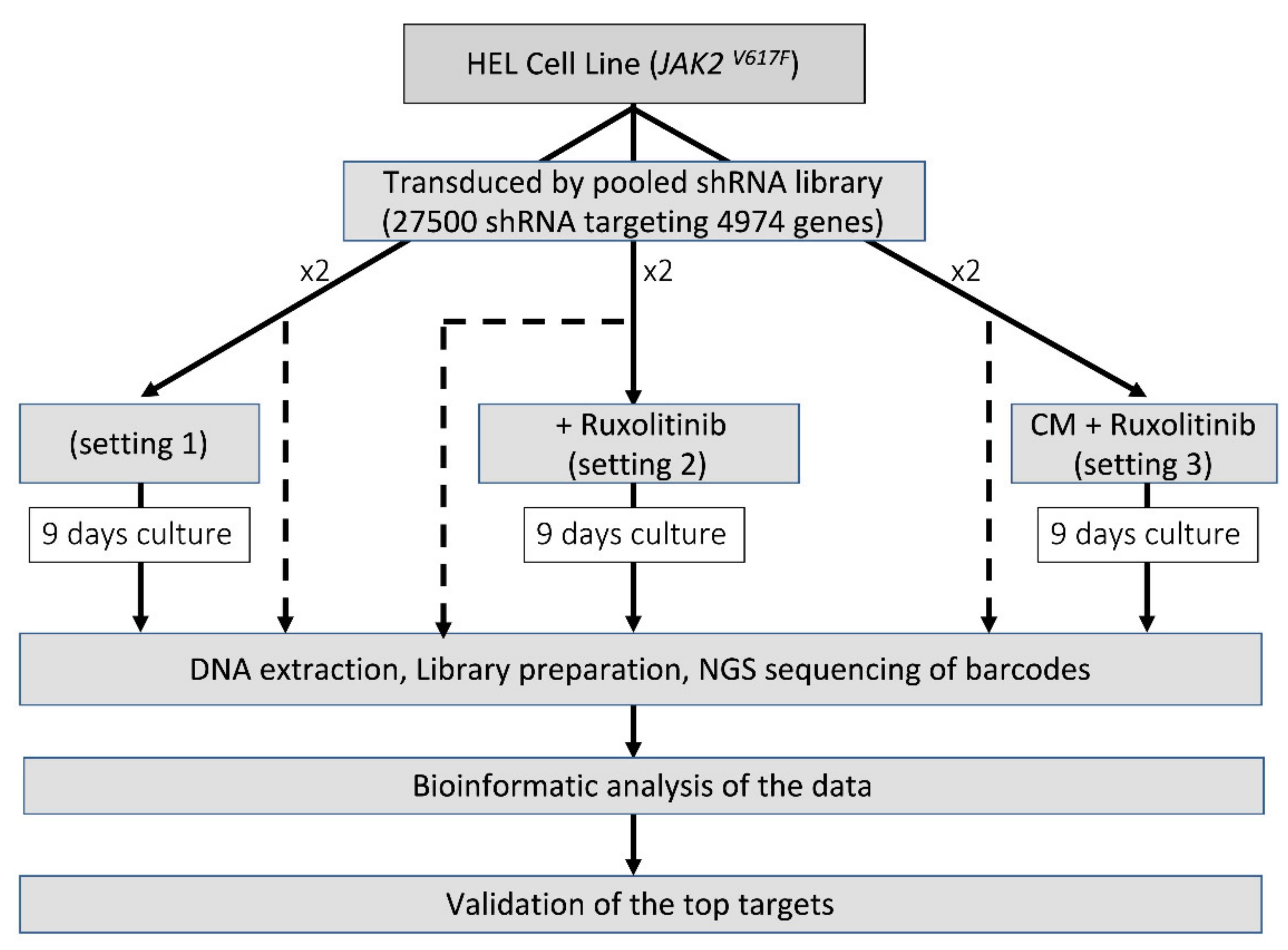 Carfilzomib Enhances the Suppressive Effect of Ruxolitinib