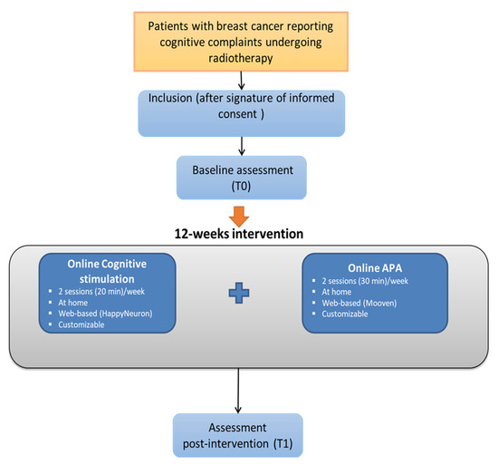 Multimodal Web-Based Intervention for Cancer-Related Cognitive 
