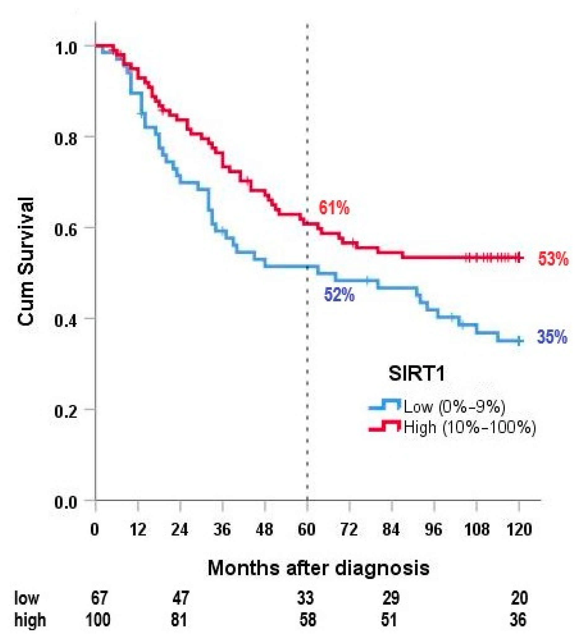 Cancers 13 04877 g004 550