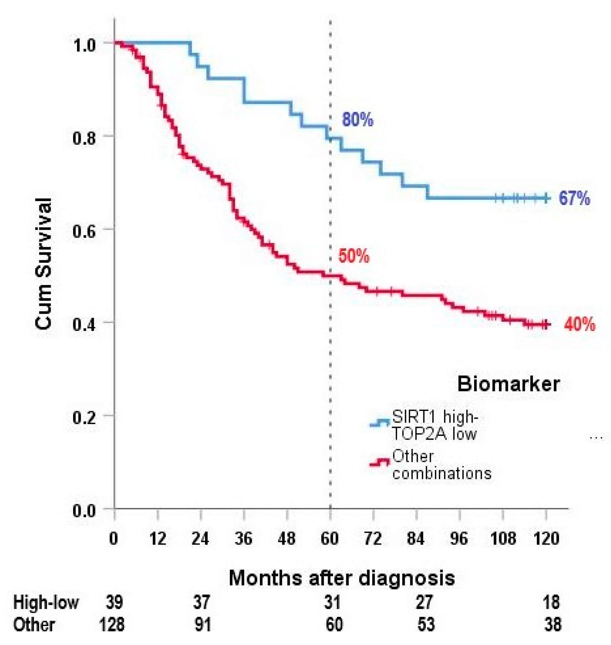 Cancers 13 04877 g005 550