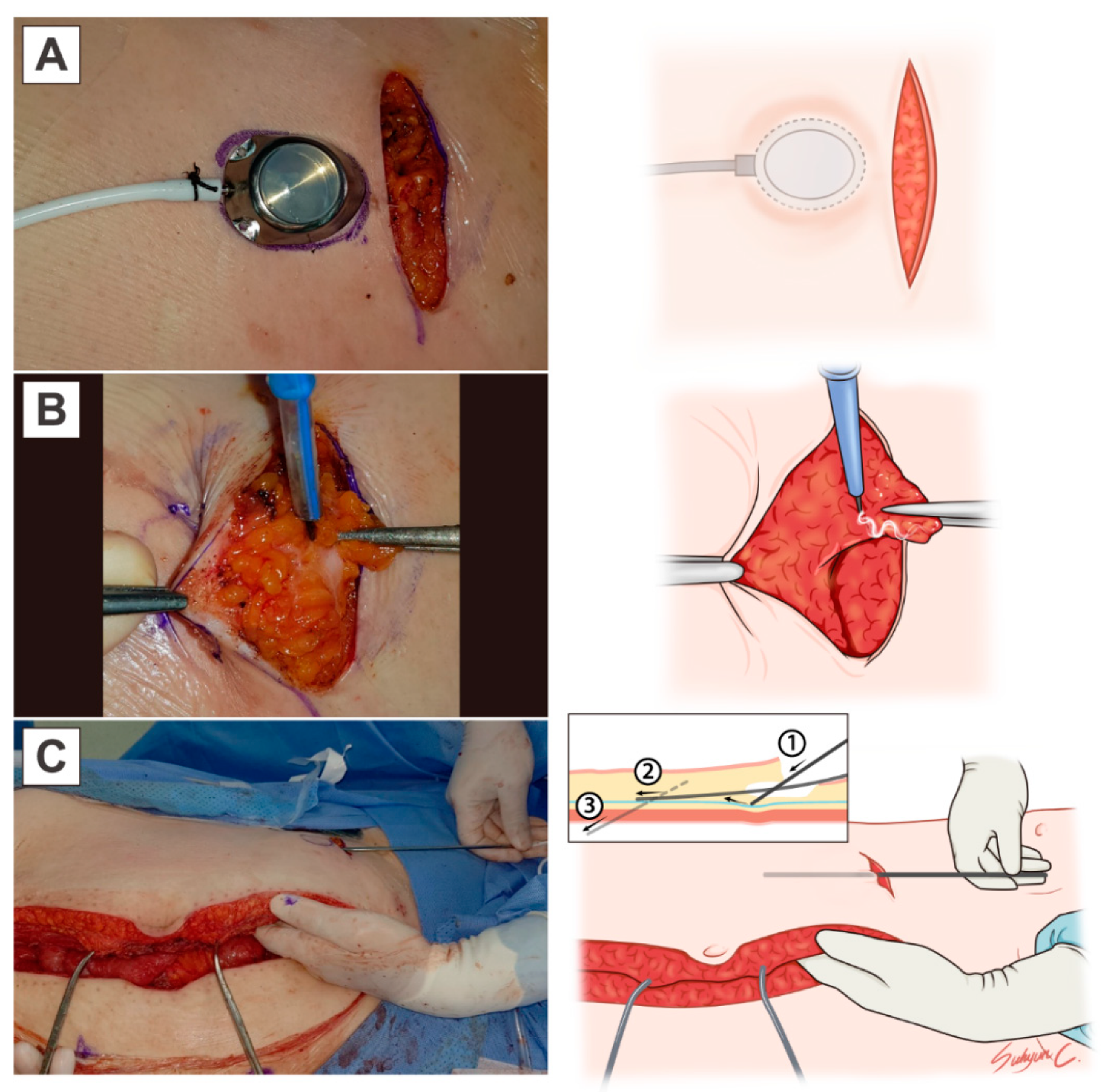 Cancers 13 04886 g001 550
