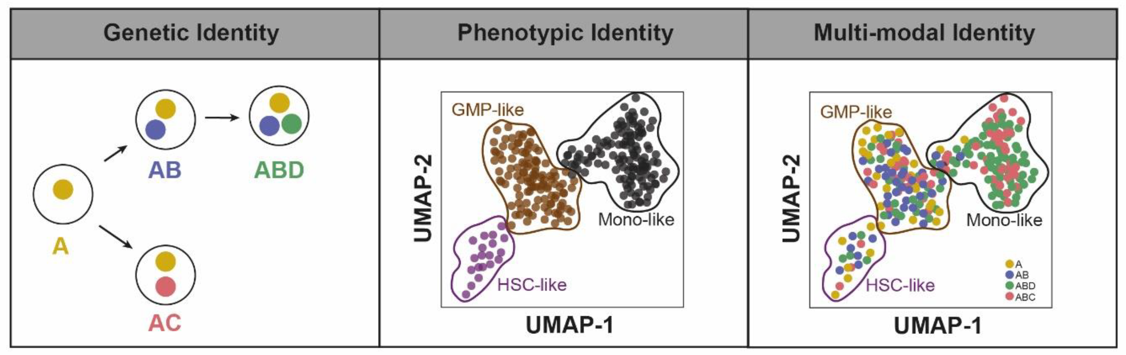 Cancers 13 04887 g001 550