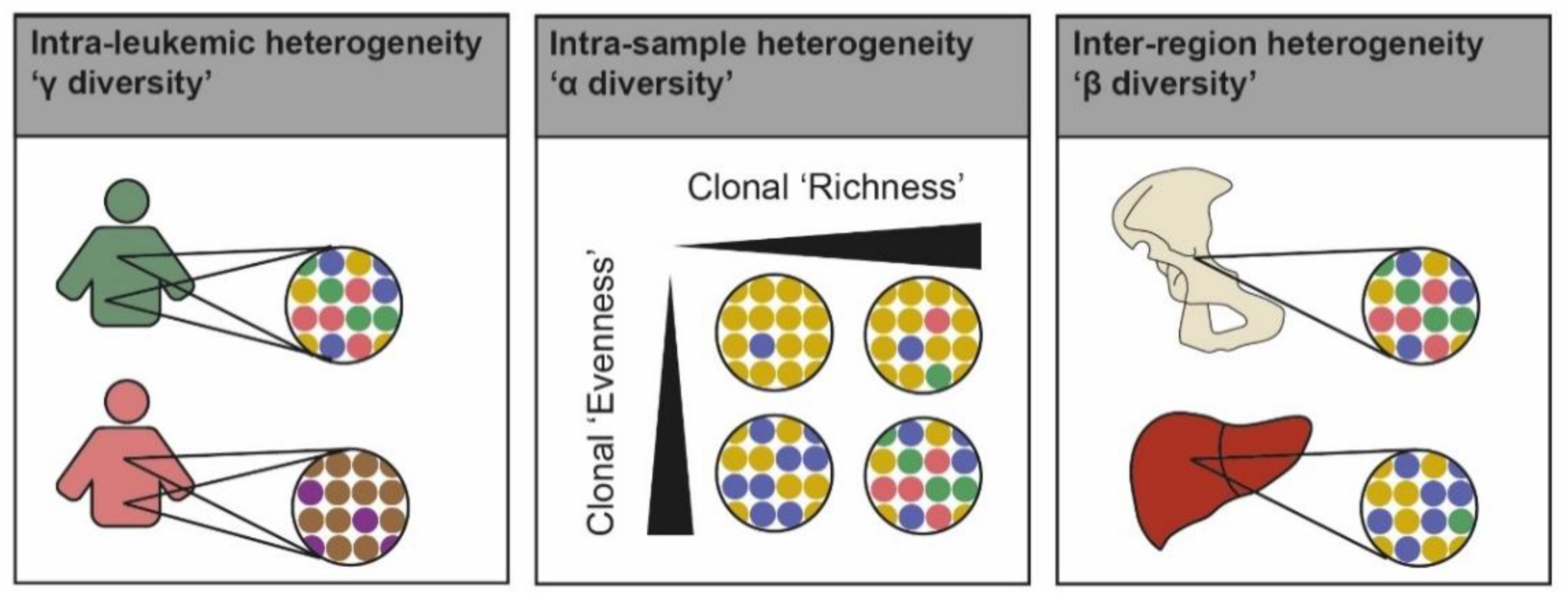 Cancers 13 04887 g002 550