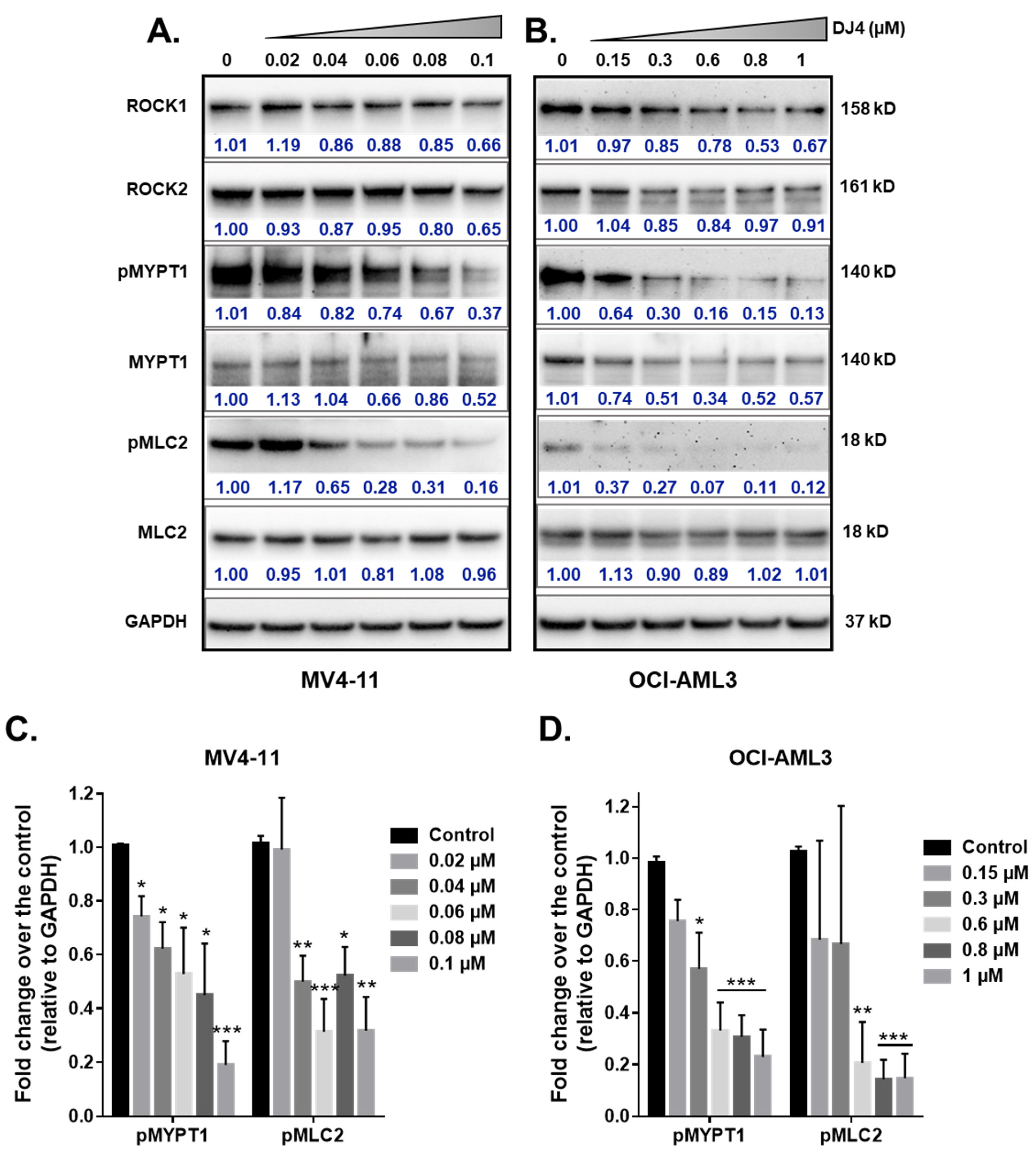 Cancers 13 04889 g004