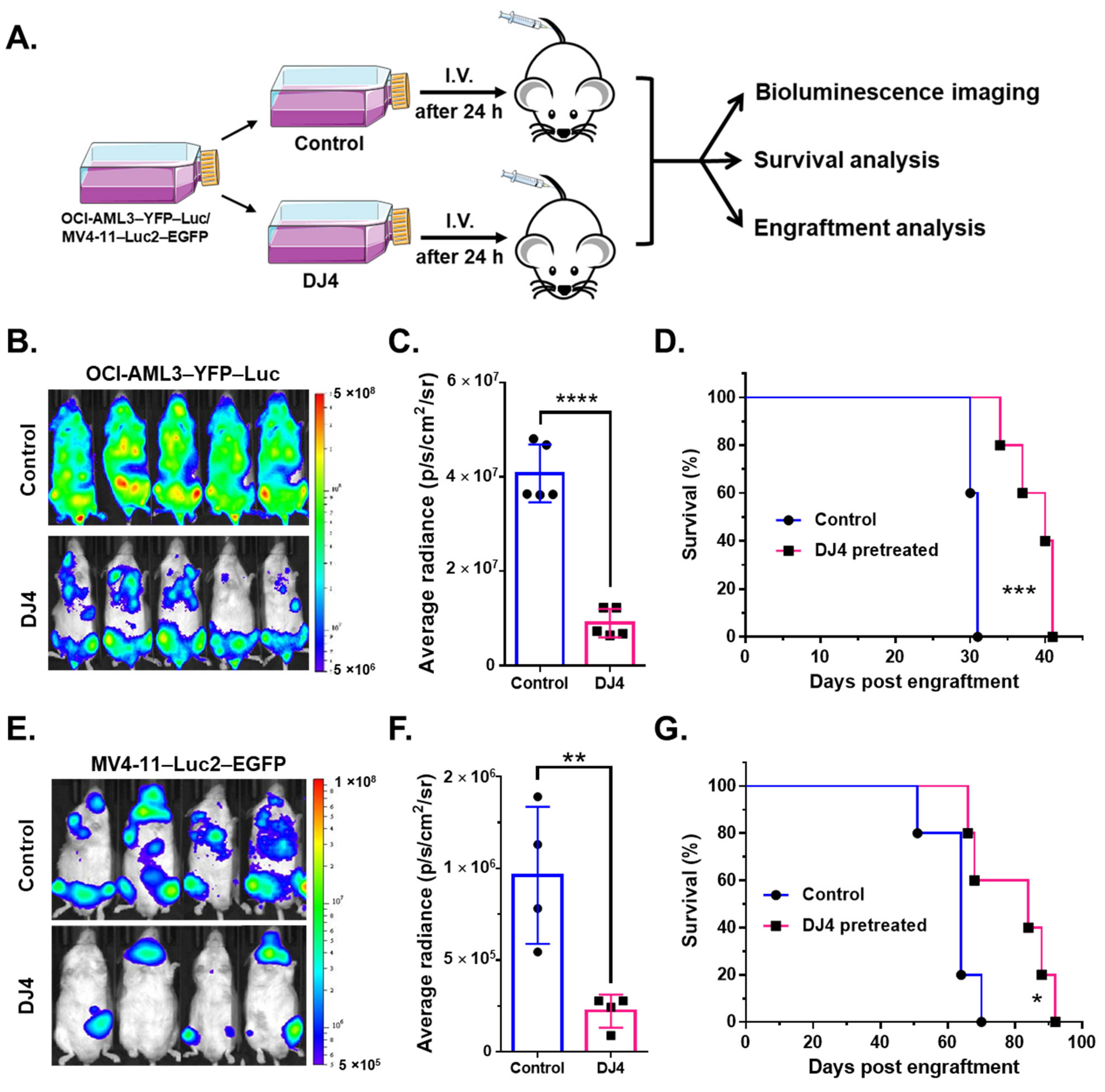 Cancers 13 04889 g007