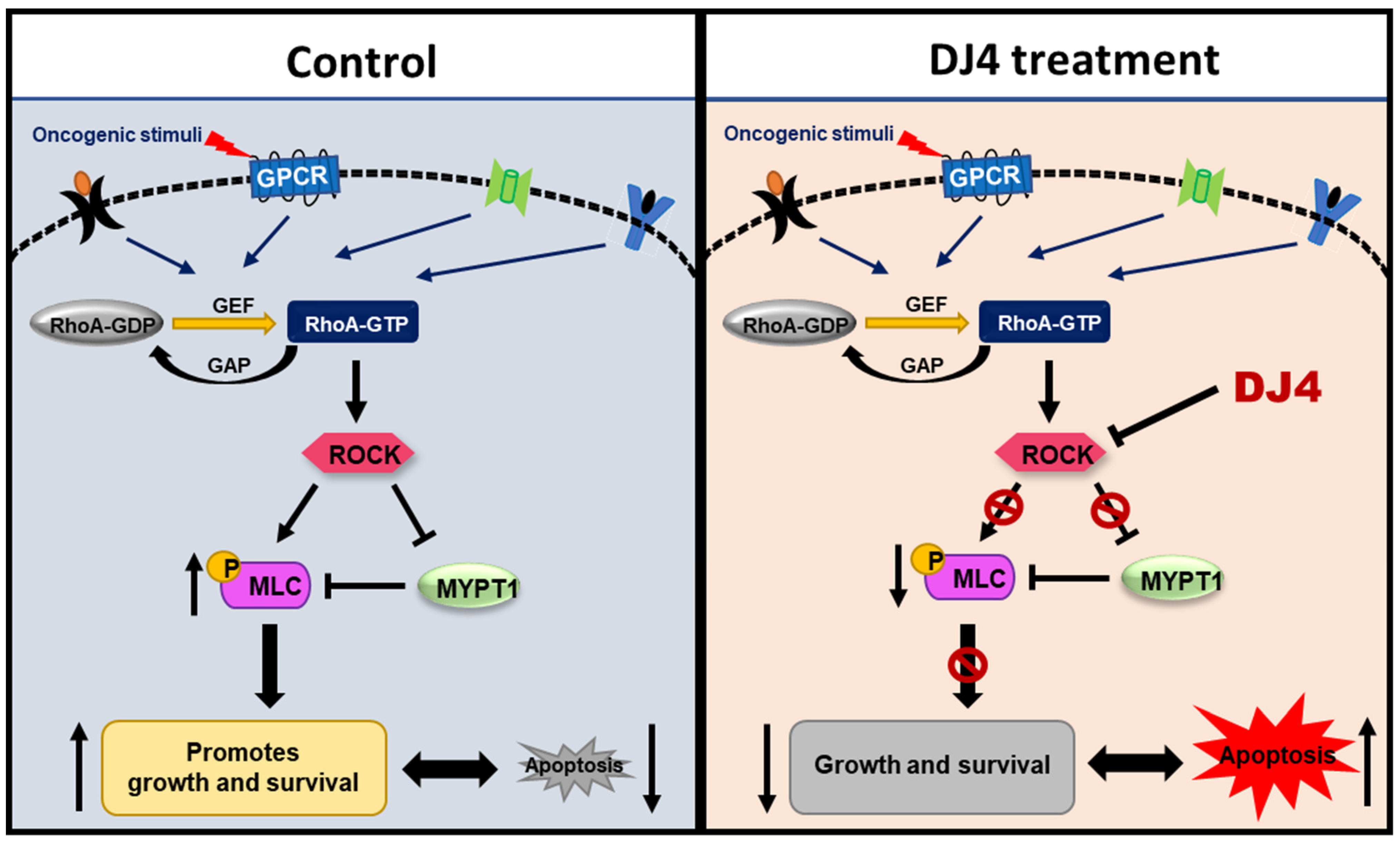 Cancers 13 04889 g008