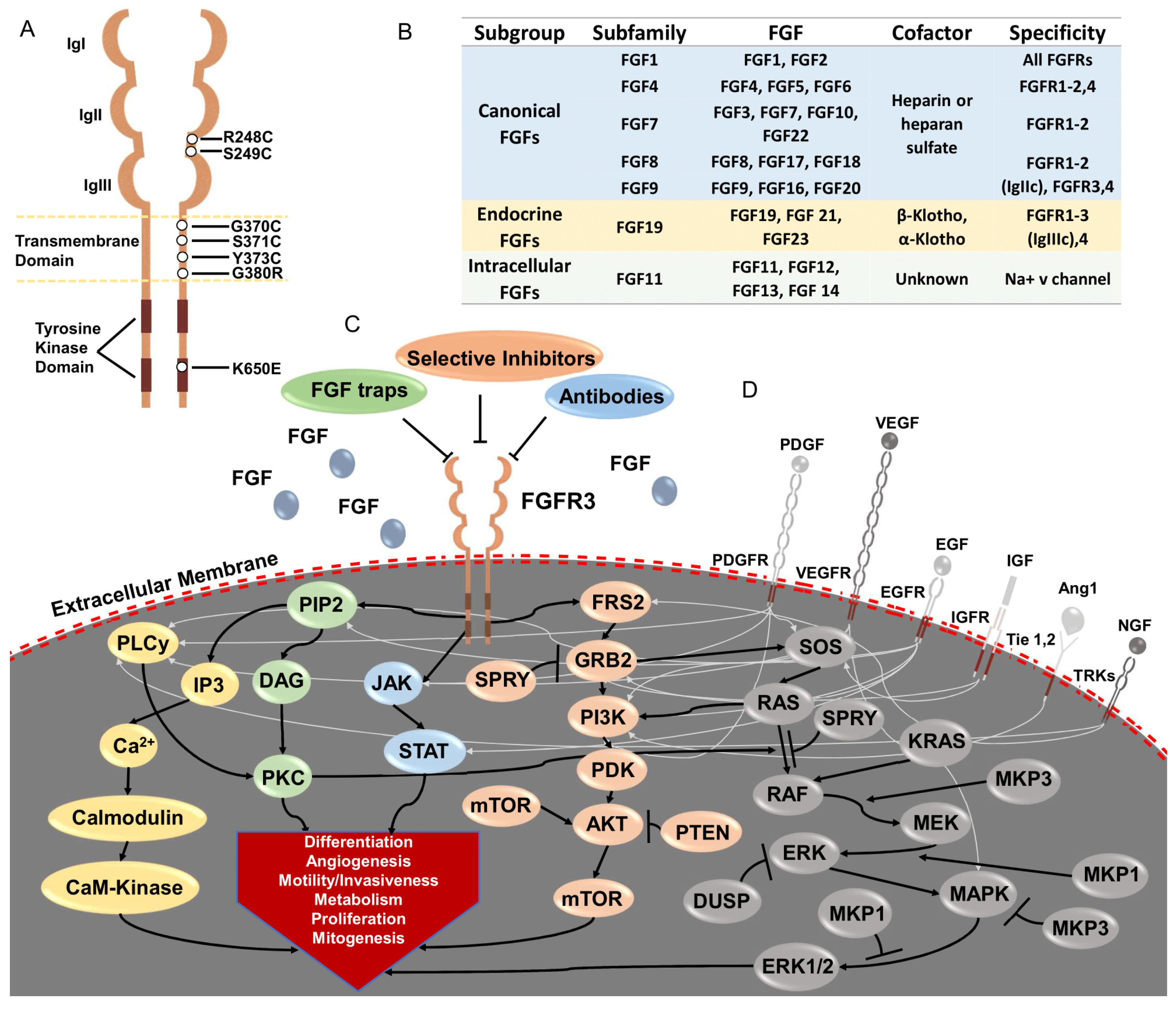 Cancers 13 04891 g001 Cancers 13 04891 g001