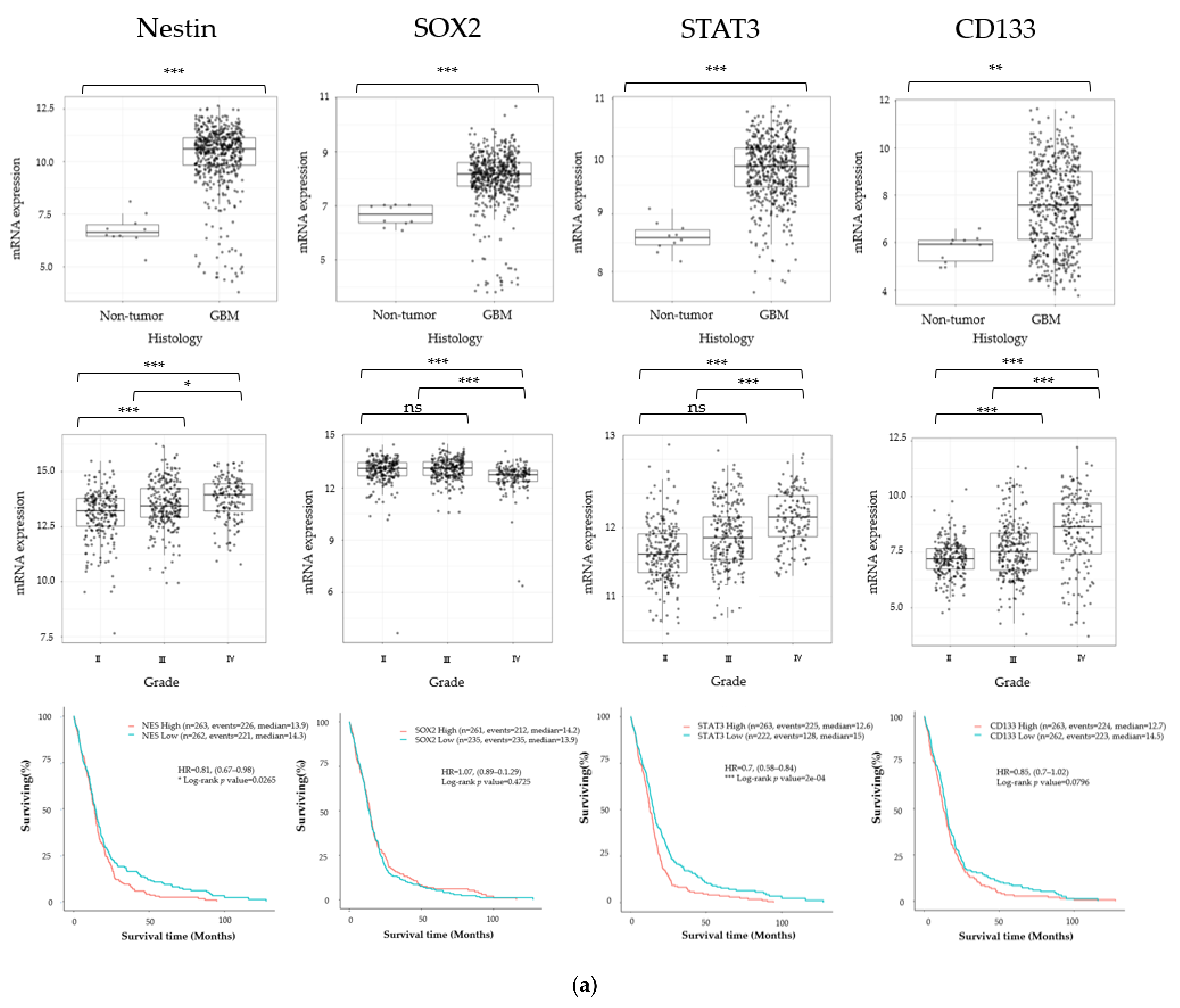 Cancers 13 04896 g001a 550