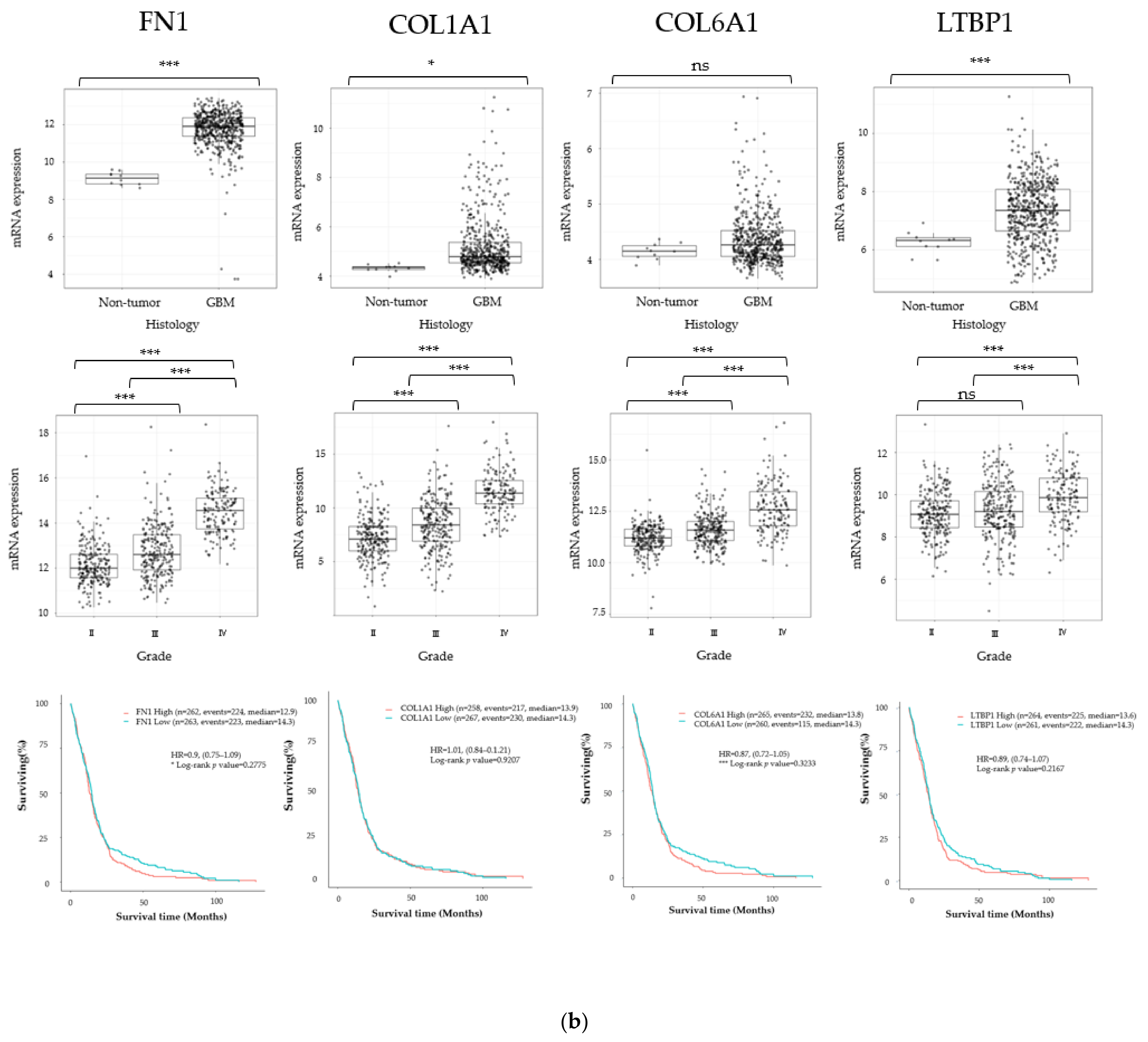Cancers 13 04896 g001b 550