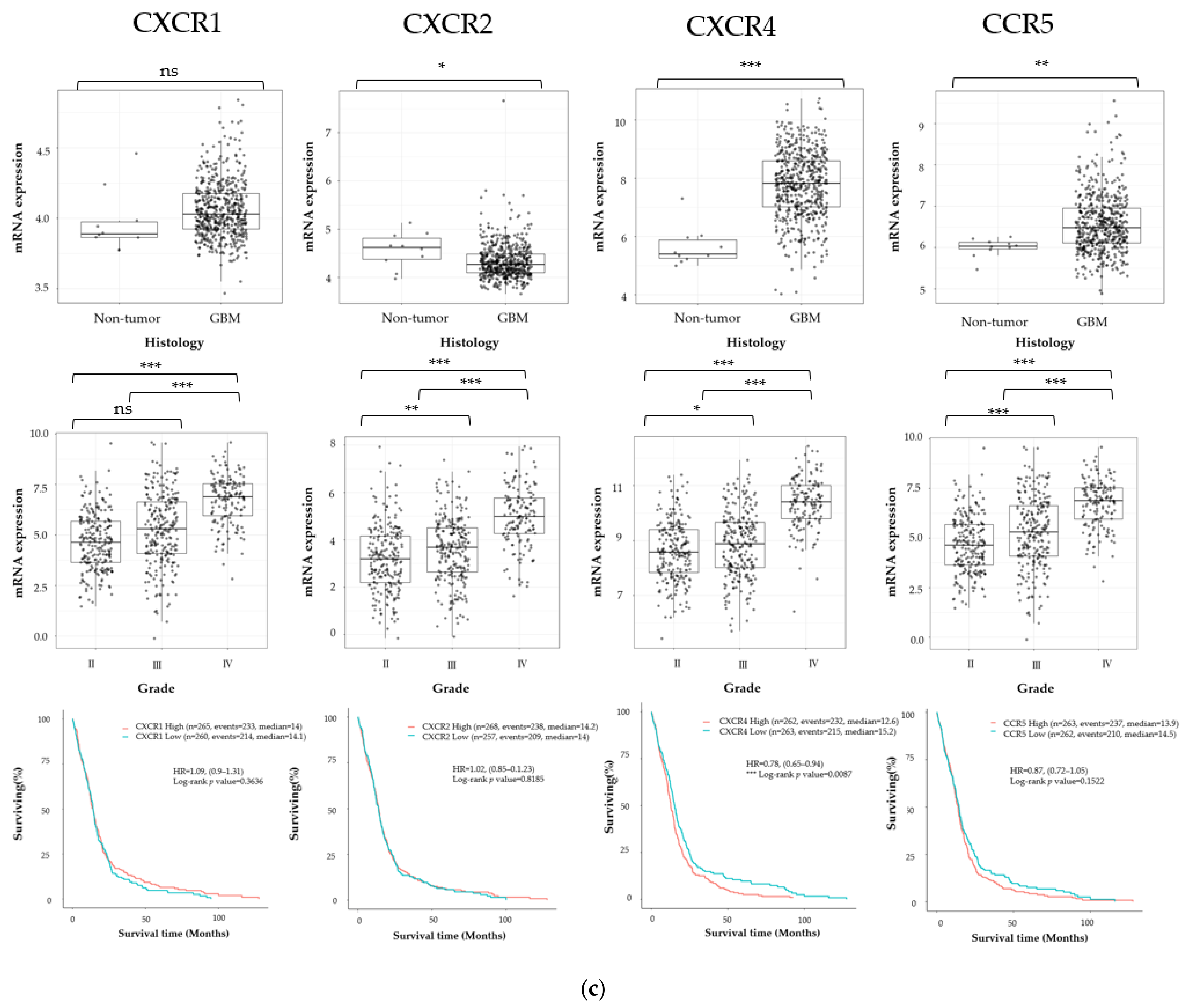 Cancers 13 04896 g001c 550