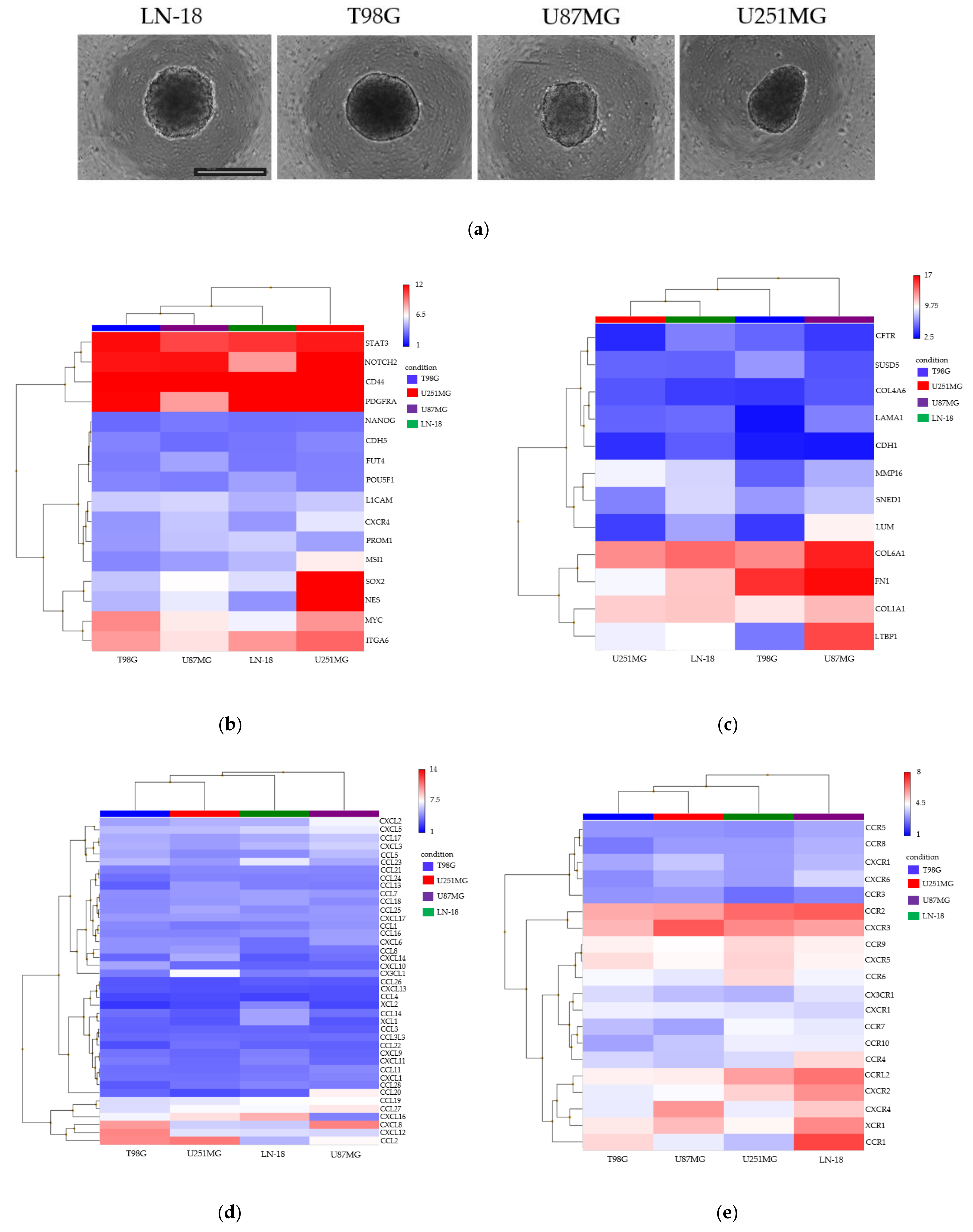 Cancers 13 04896 g003a 550