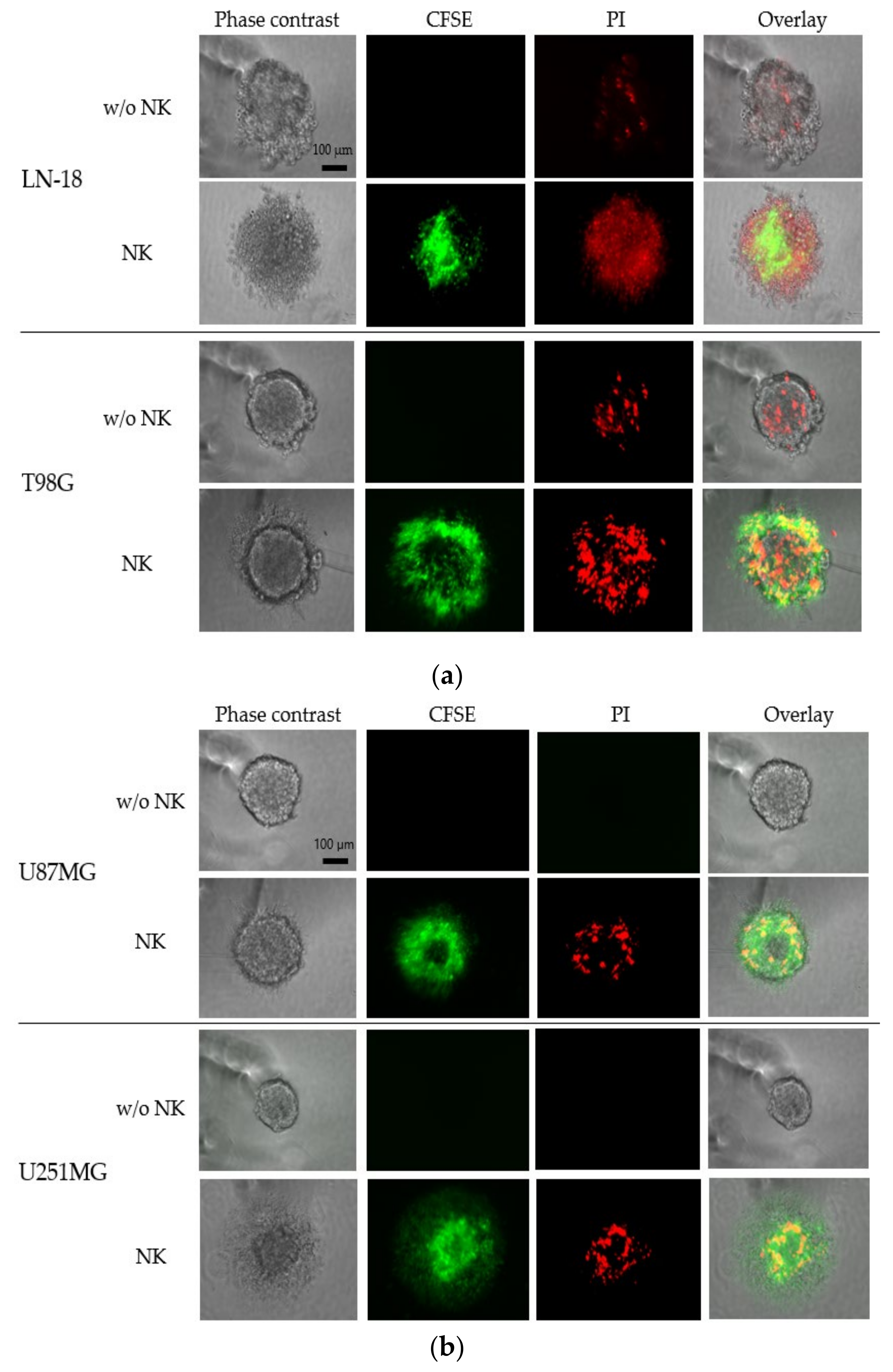 Cancers 13 04896 g006 550