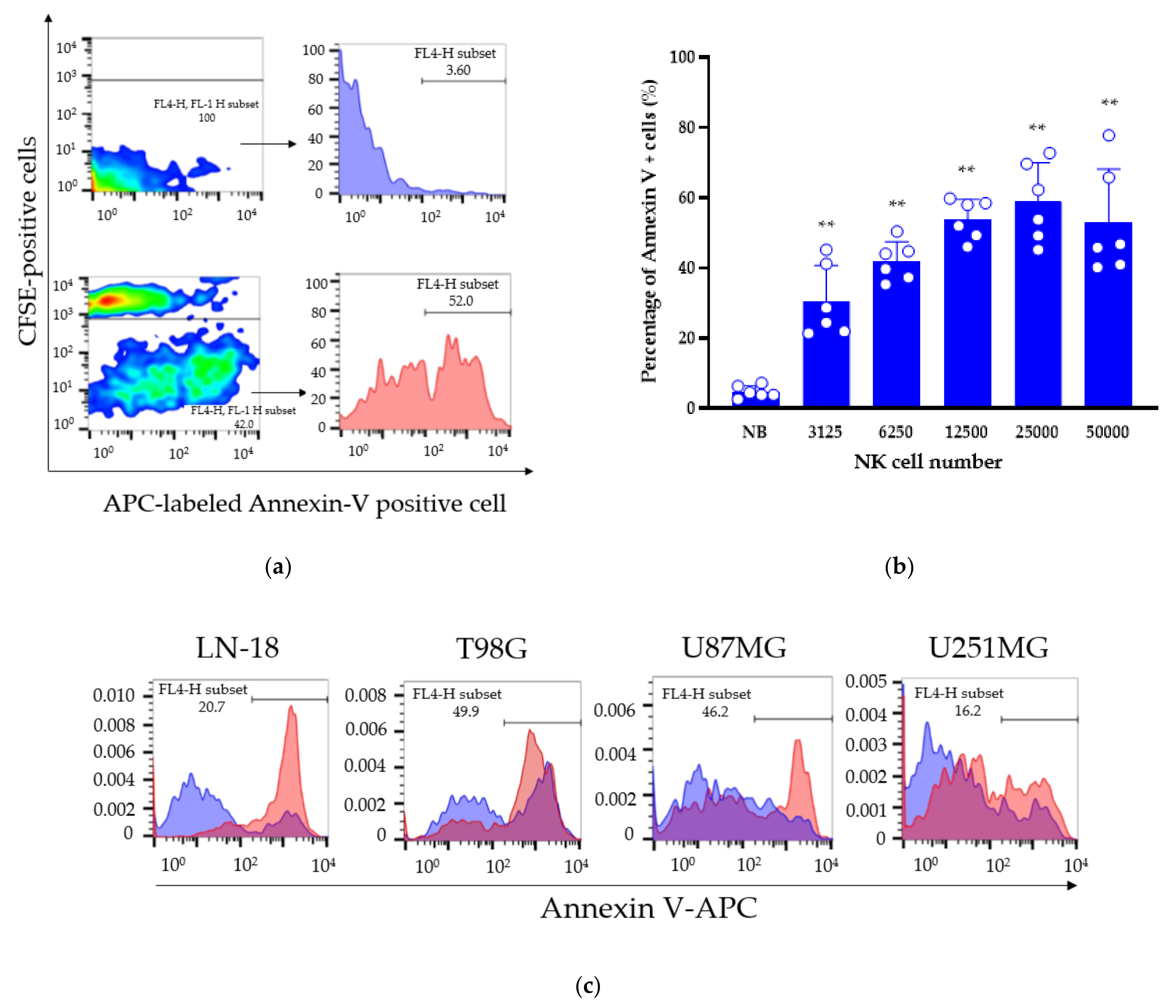 Cancers 13 04896 g007a 550