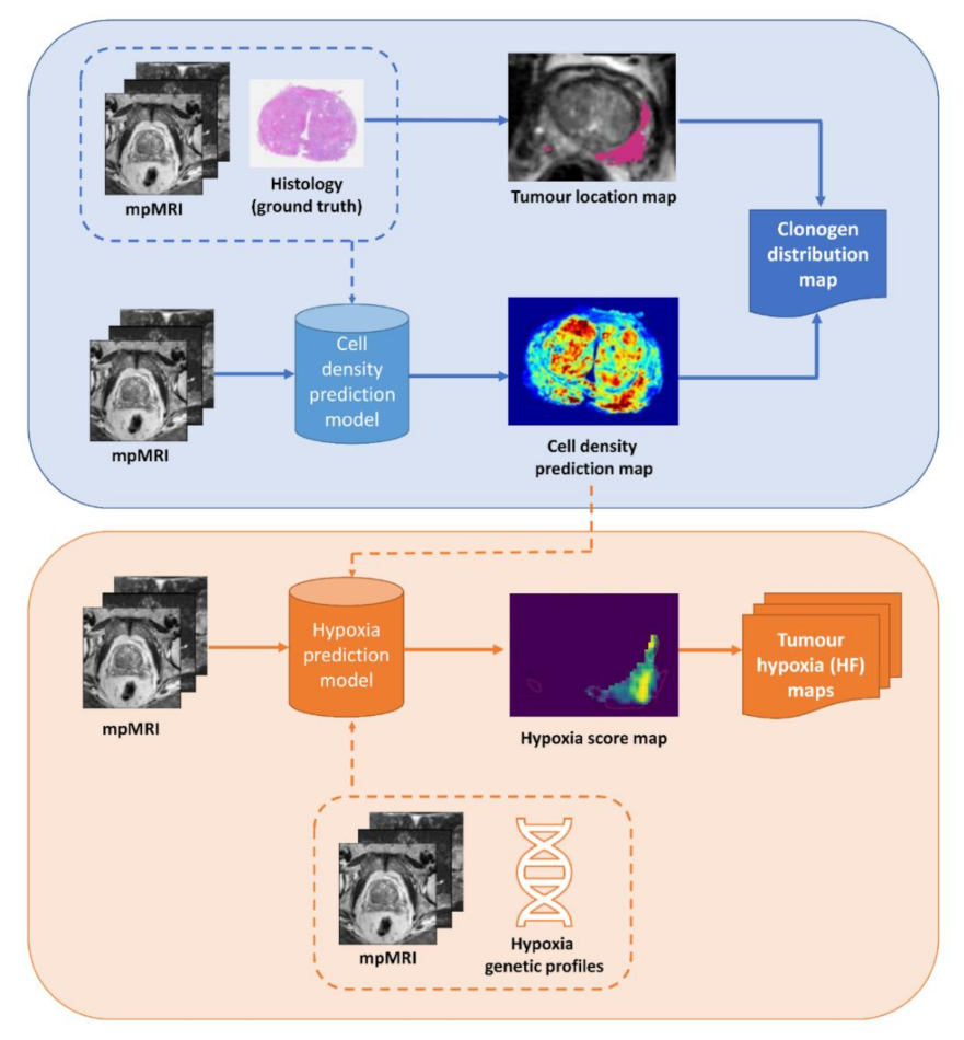 Cancers 13 04897 g001 Cancers 13 04897 g001