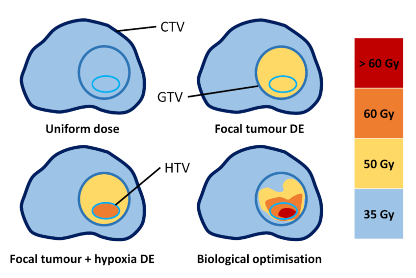 Cancers 13 04897 g002 Cancers 13 04897 g002