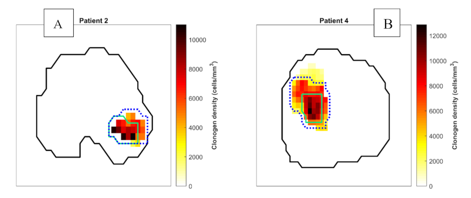 Cancers 13 04897 g003 Cancers 13 04897 g003