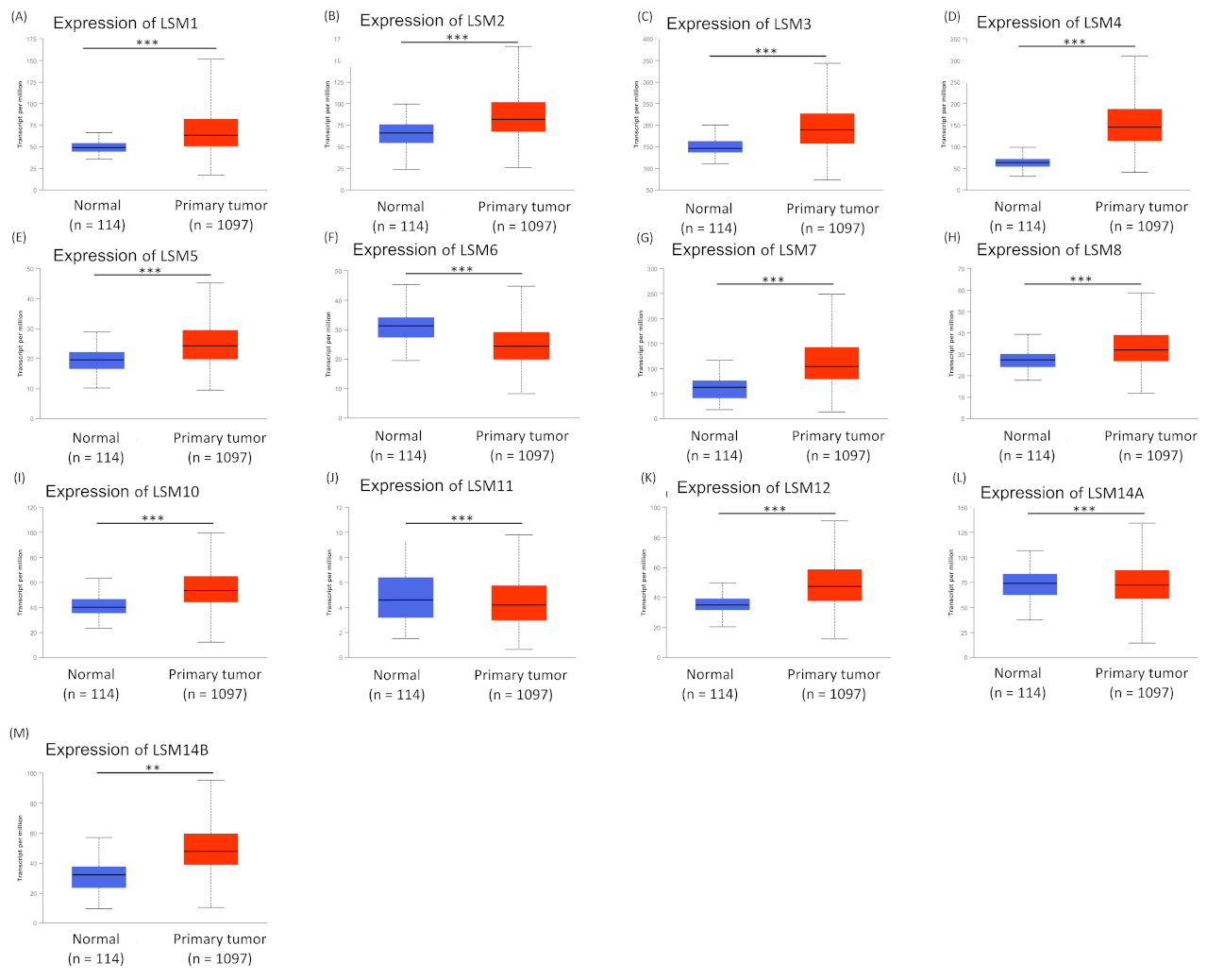 Cancers 13 04902 g001 Cancers 13 04902 g001