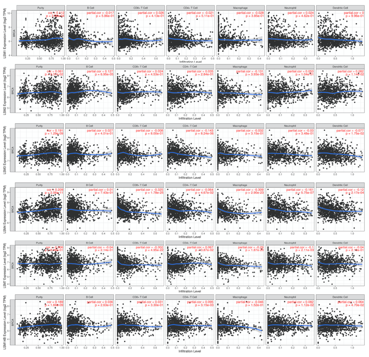 Cancers 13 04902 g005 Cancers 13 04902 g005