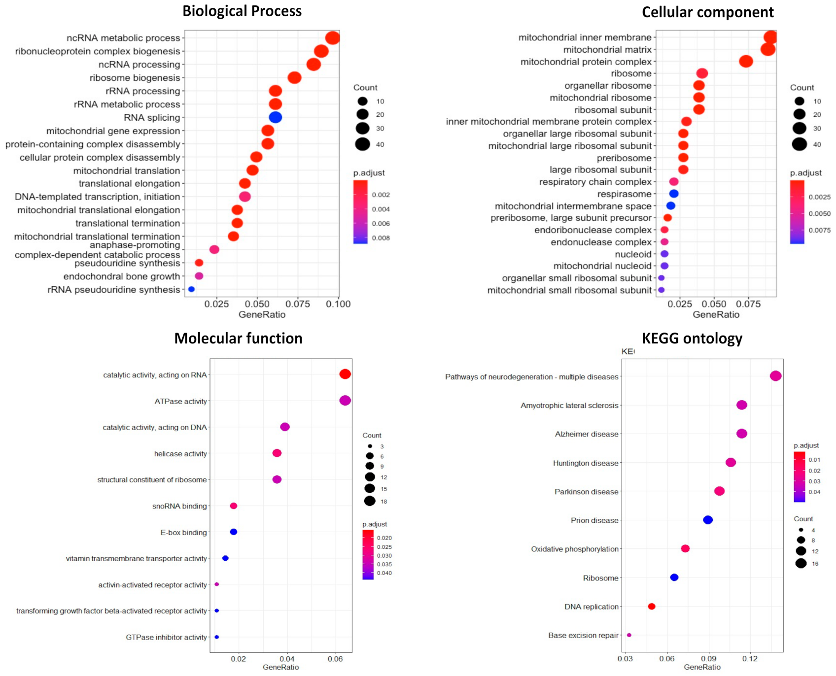 Cancers 13 04902 g007 Cancers 13 04902 g007