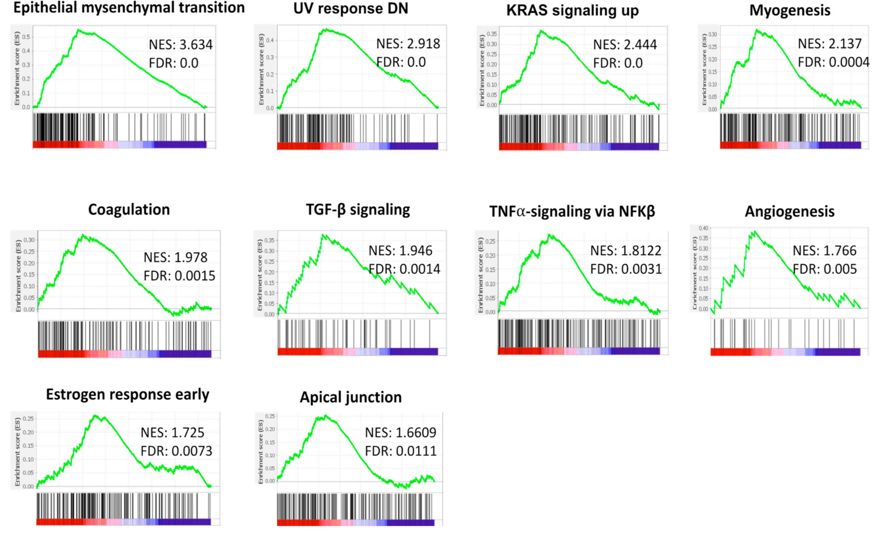 Cancers 13 04902 g008 Cancers 13 04902 g008