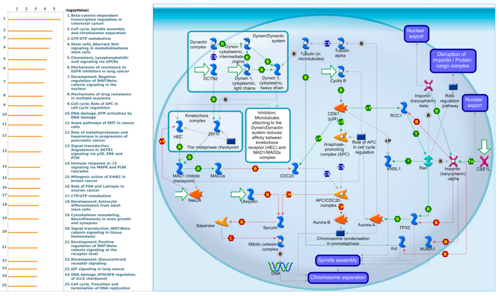 Cancers 13 04902 g009 Cancers 13 04902 g009