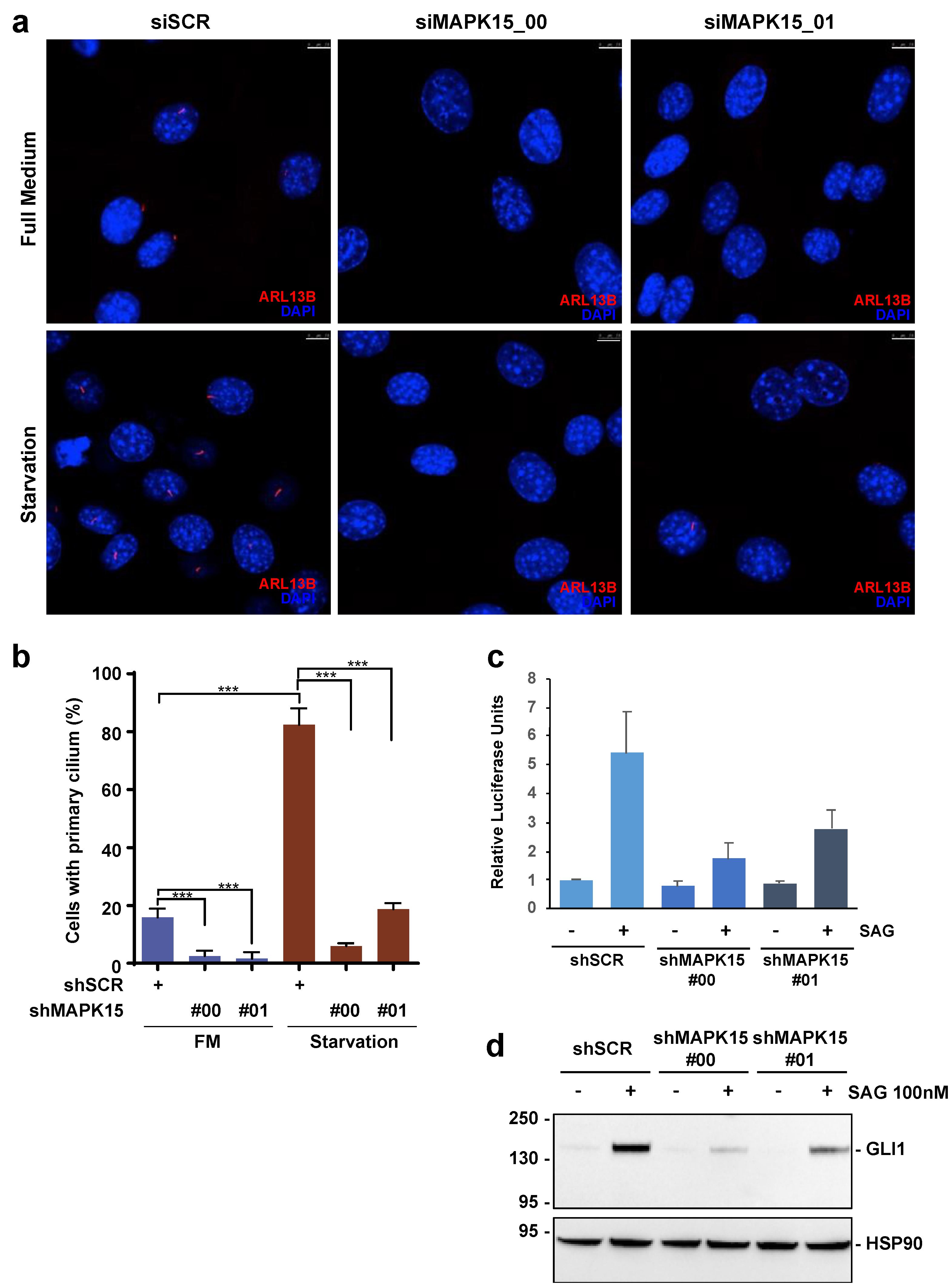 Cancers 13 04903 g002