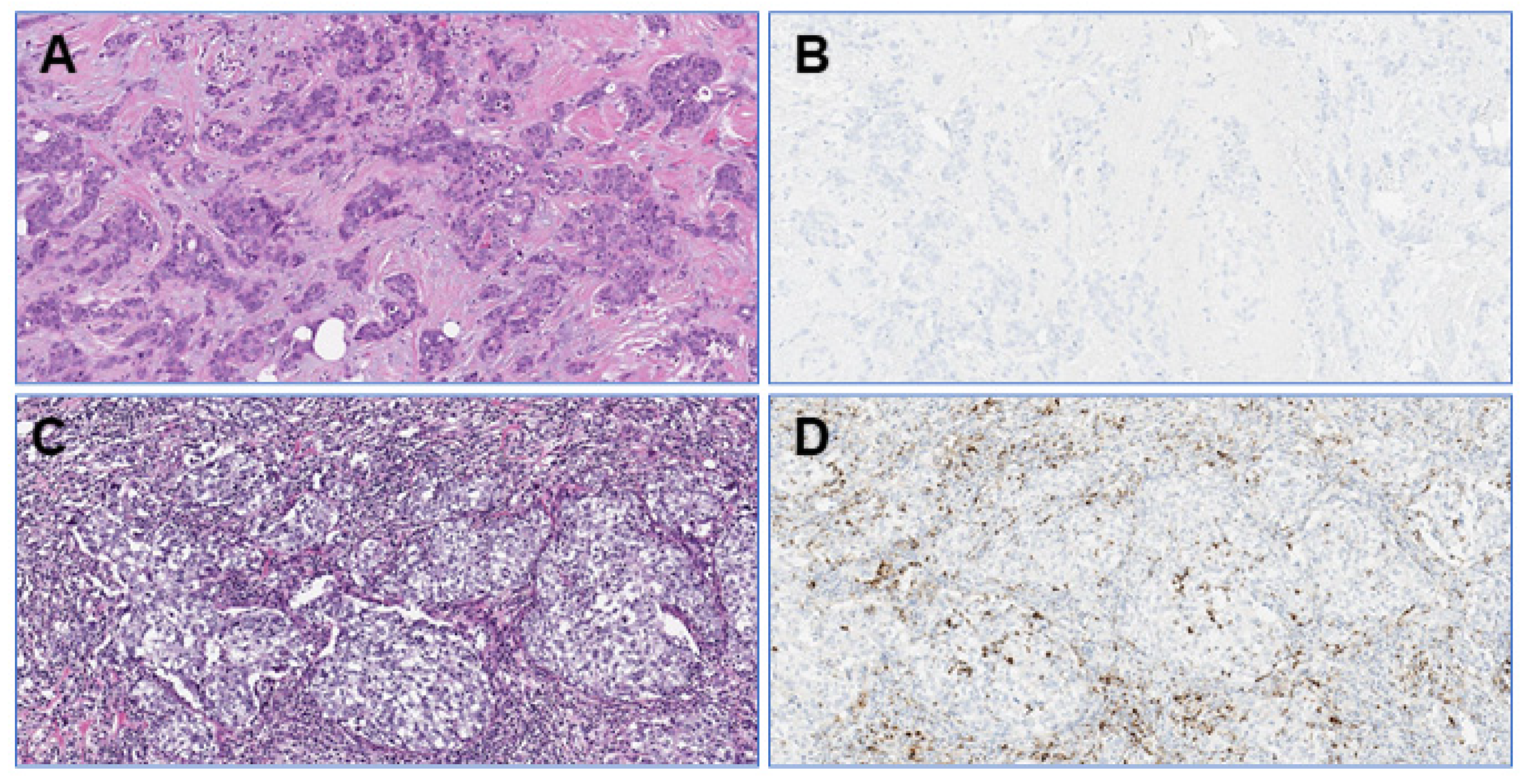 Cancers 13 04910 g002 550