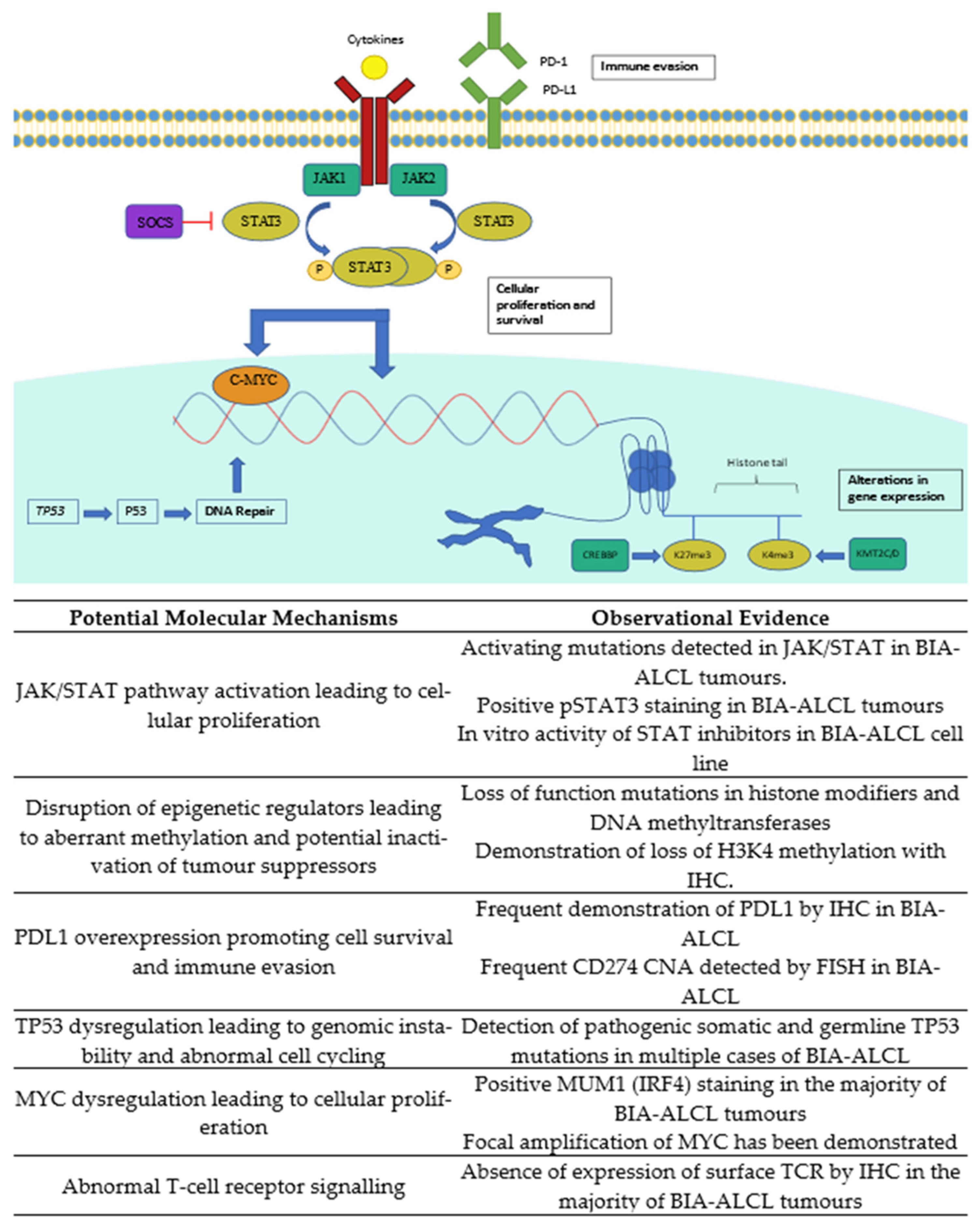 Cancers 13 04921 g001