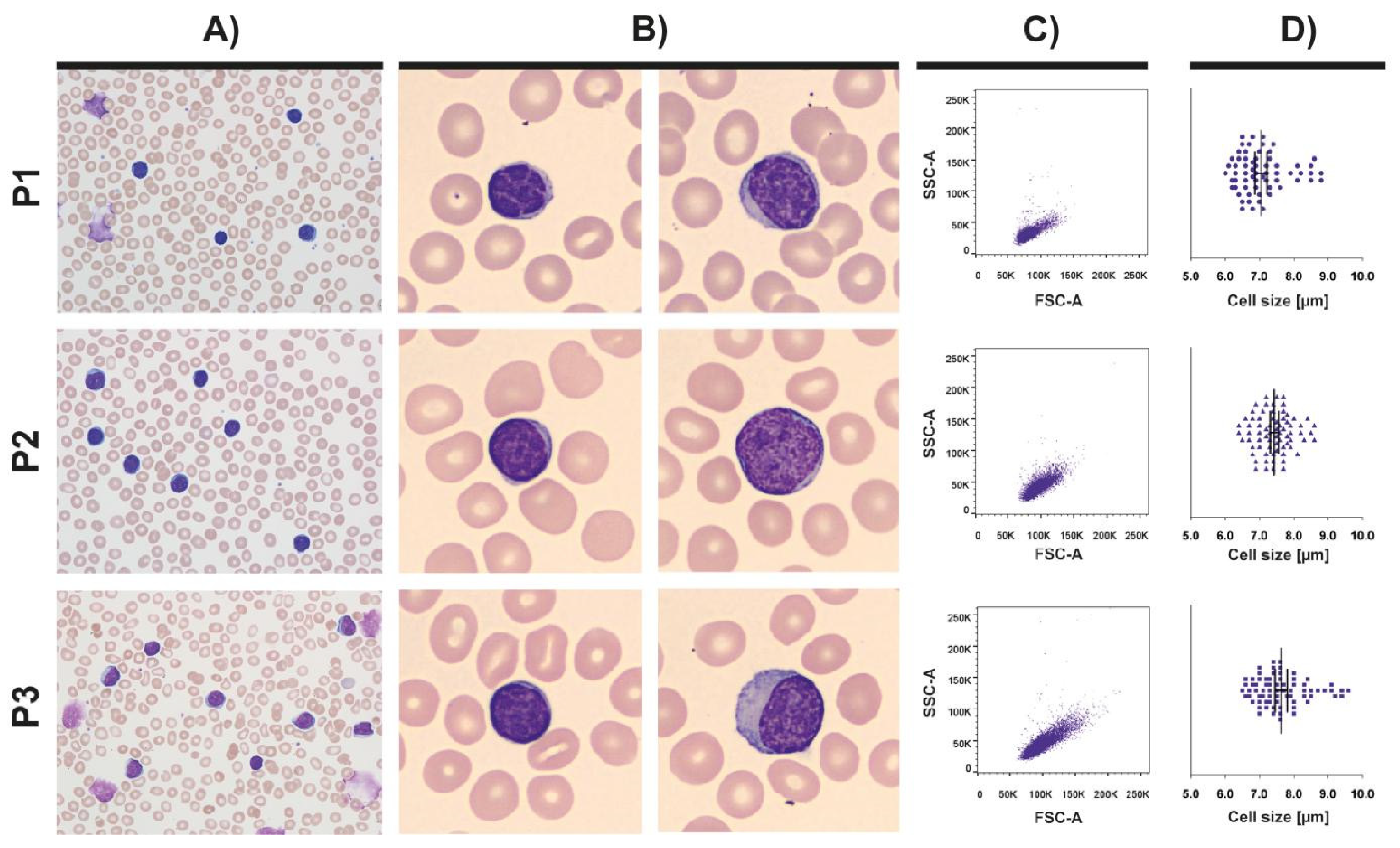 Cancers 13 04922 g001 Cancers 13 04922 g001