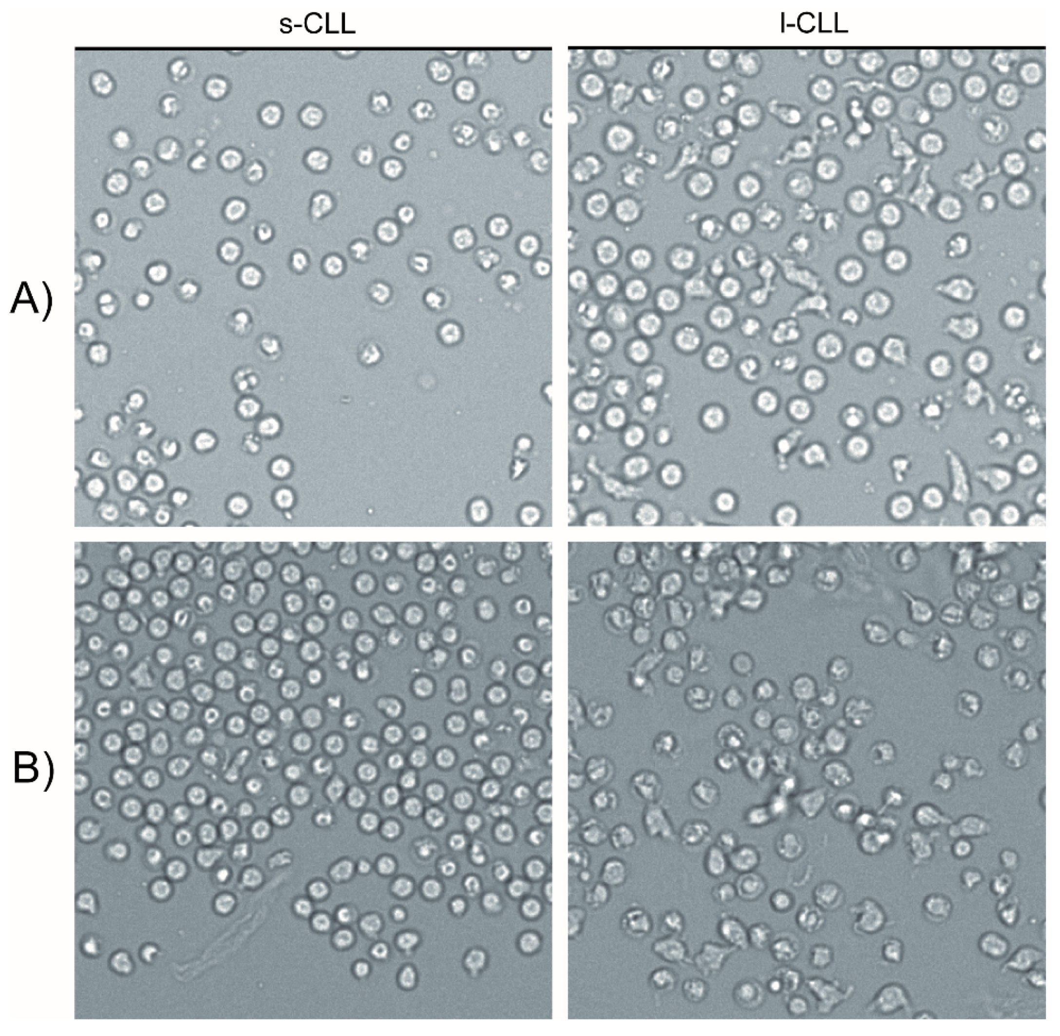 Cancers 13 04922 g007 Cancers 13 04922 g007
