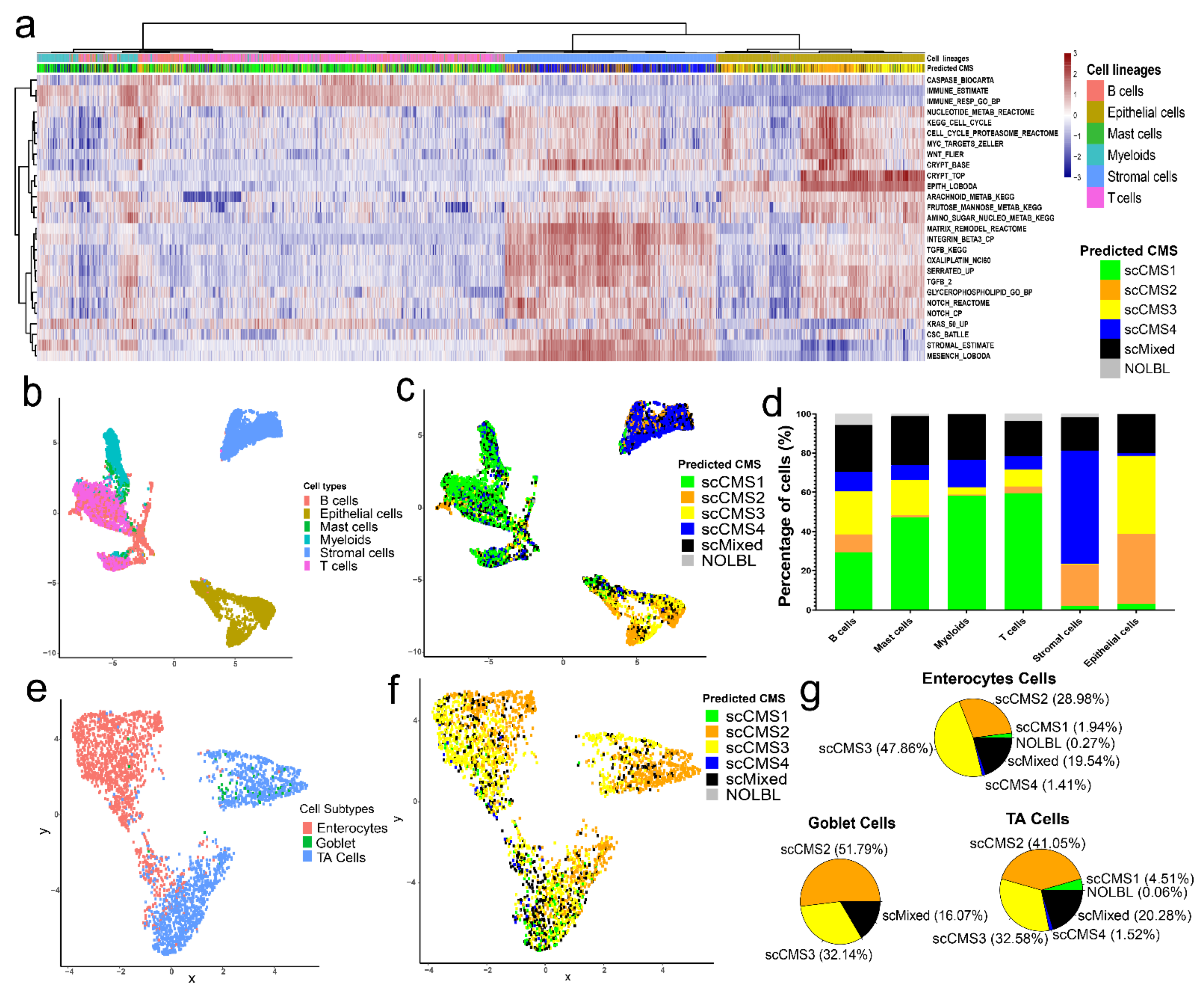 Cancers 13 04923 g004 550