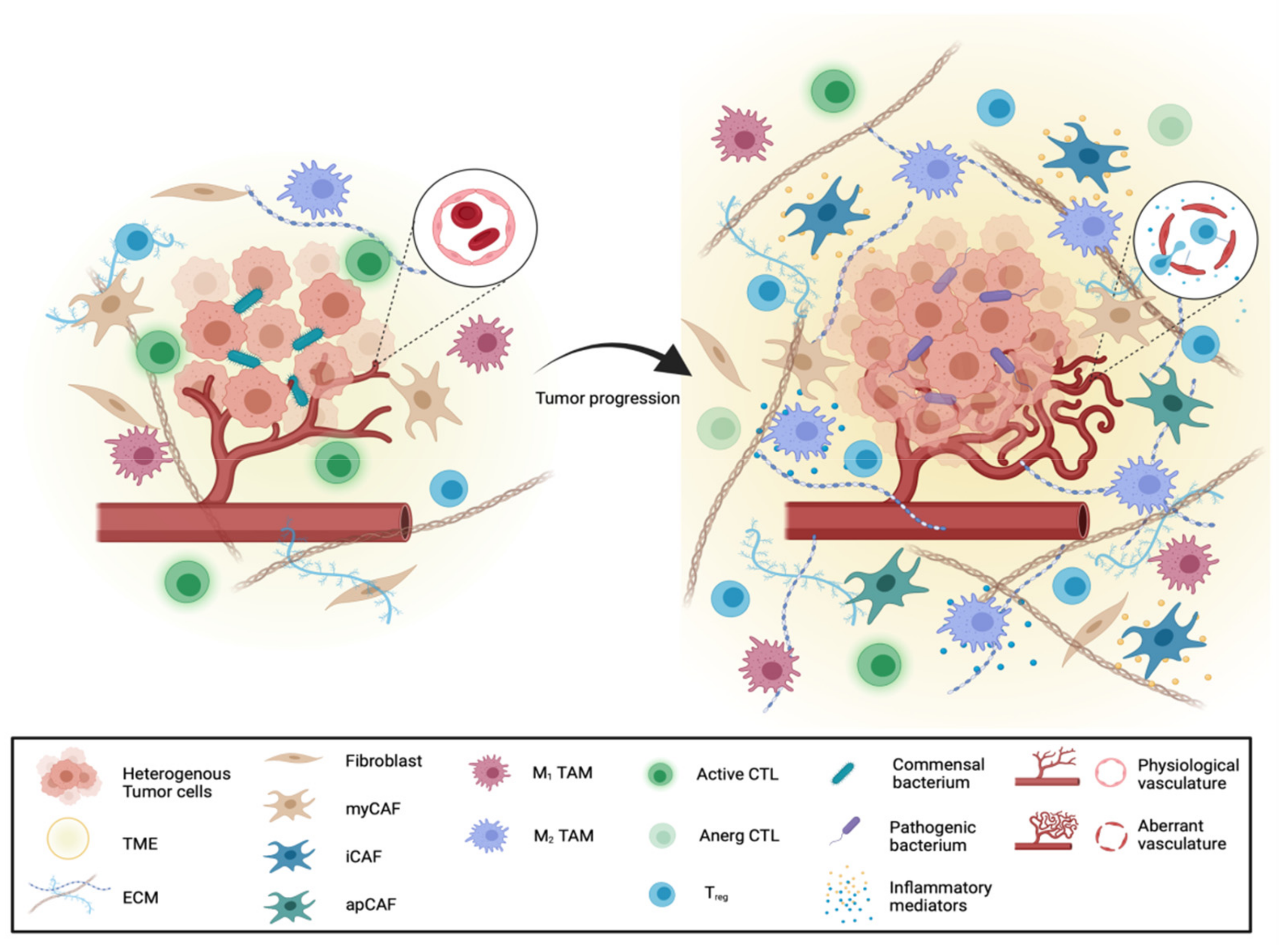 Cancers 13 04932 g001 Cancers 13 04932 g001