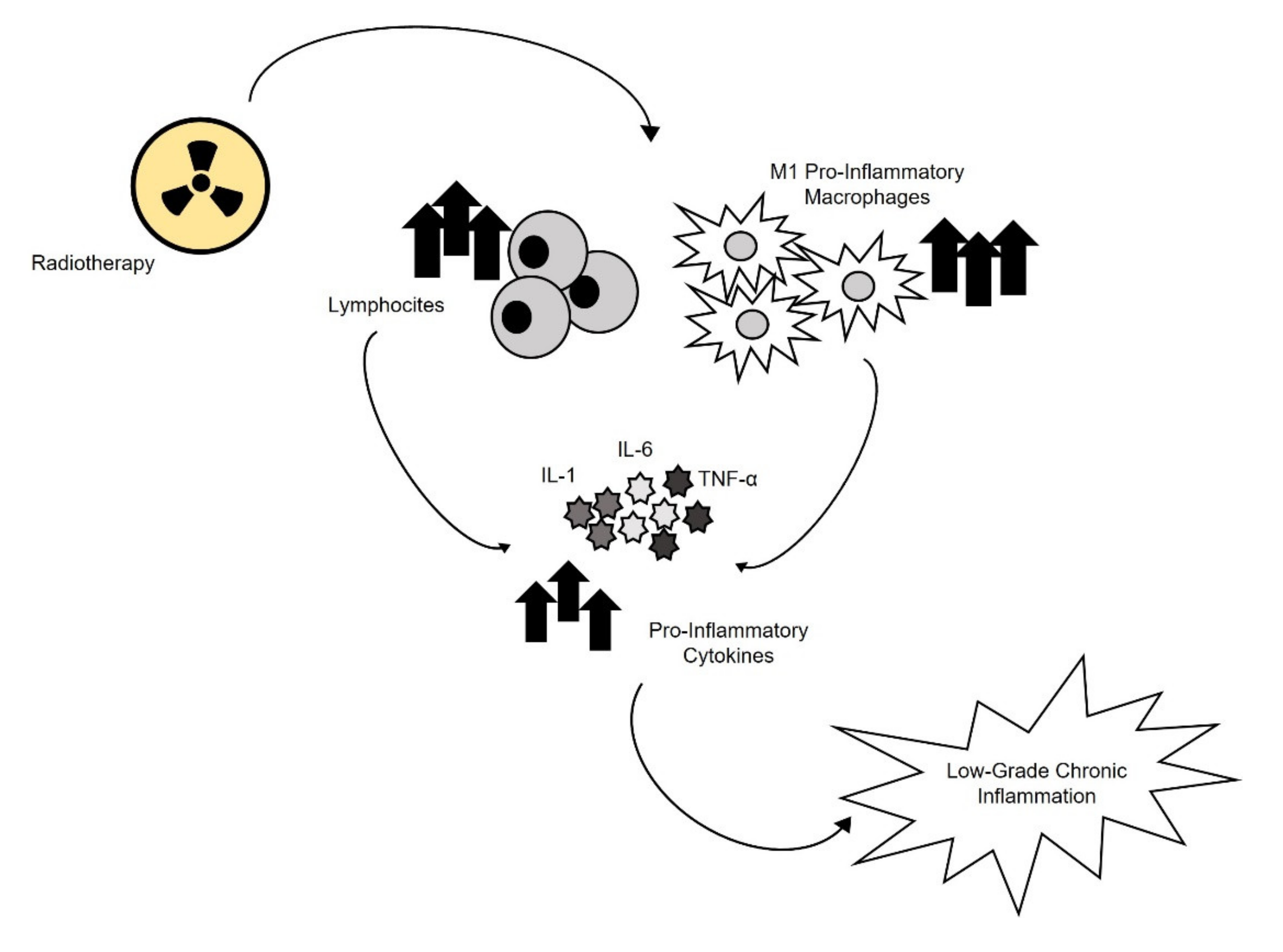 Cancers 13 04933 g002 Cancers 13 04933 g002