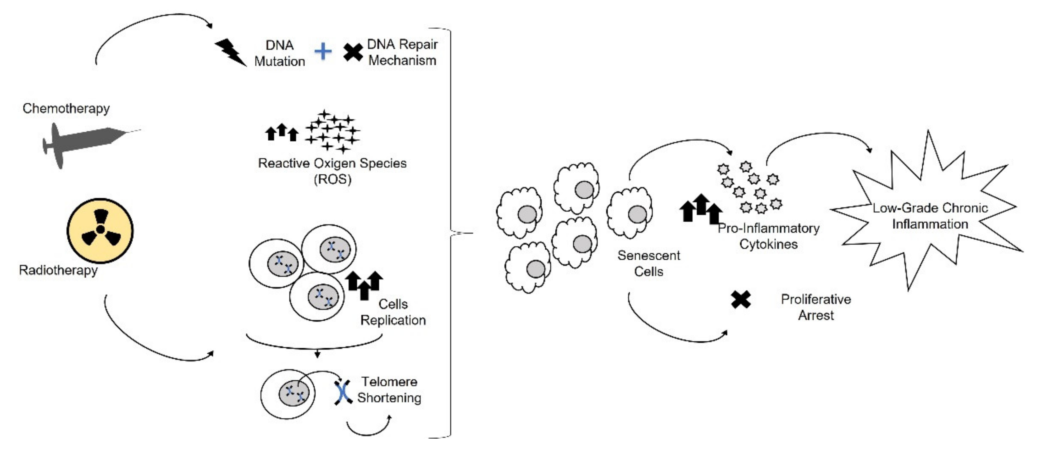 Cancers 13 04933 g004 Cancers 13 04933 g004