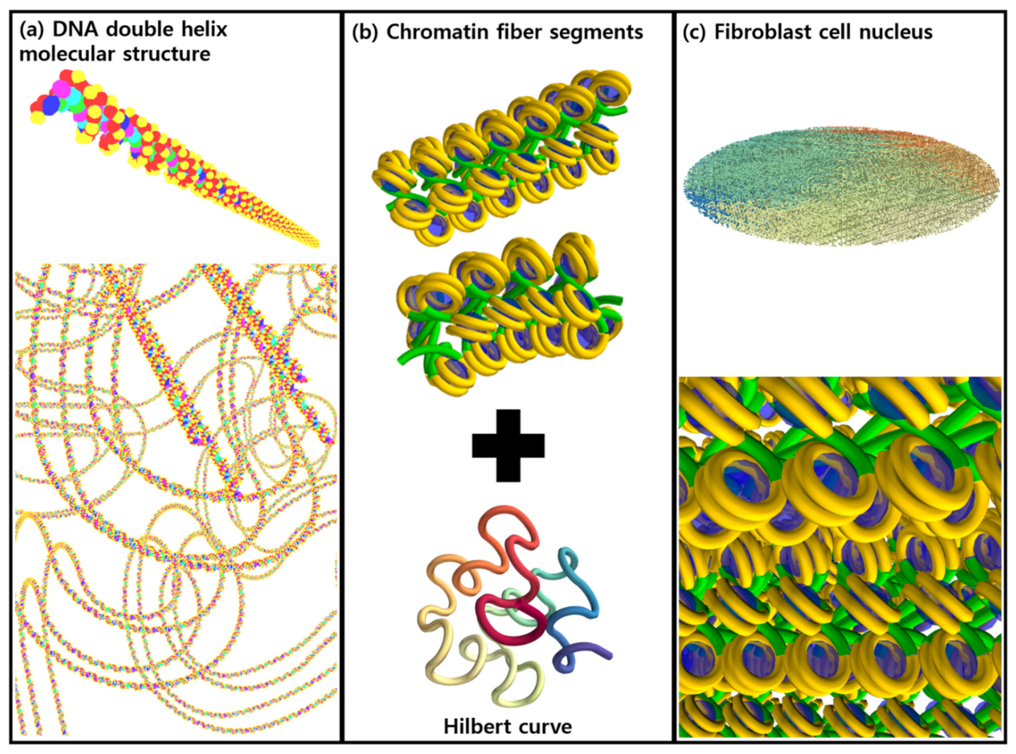 Cancers 13 04940 g001 Cancers 13 04940 g001