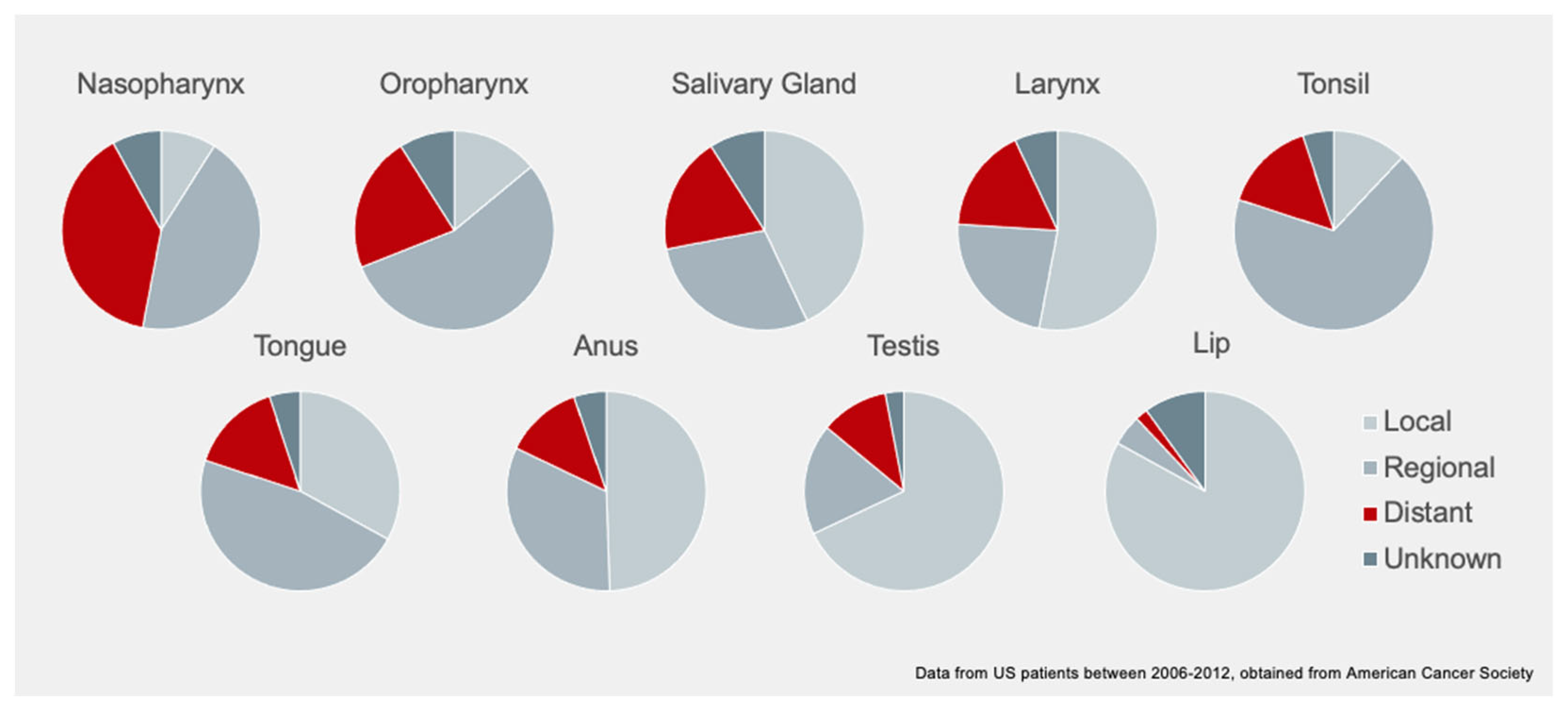 Cancers 13 04944 g001 Cancers 13 04944 g001