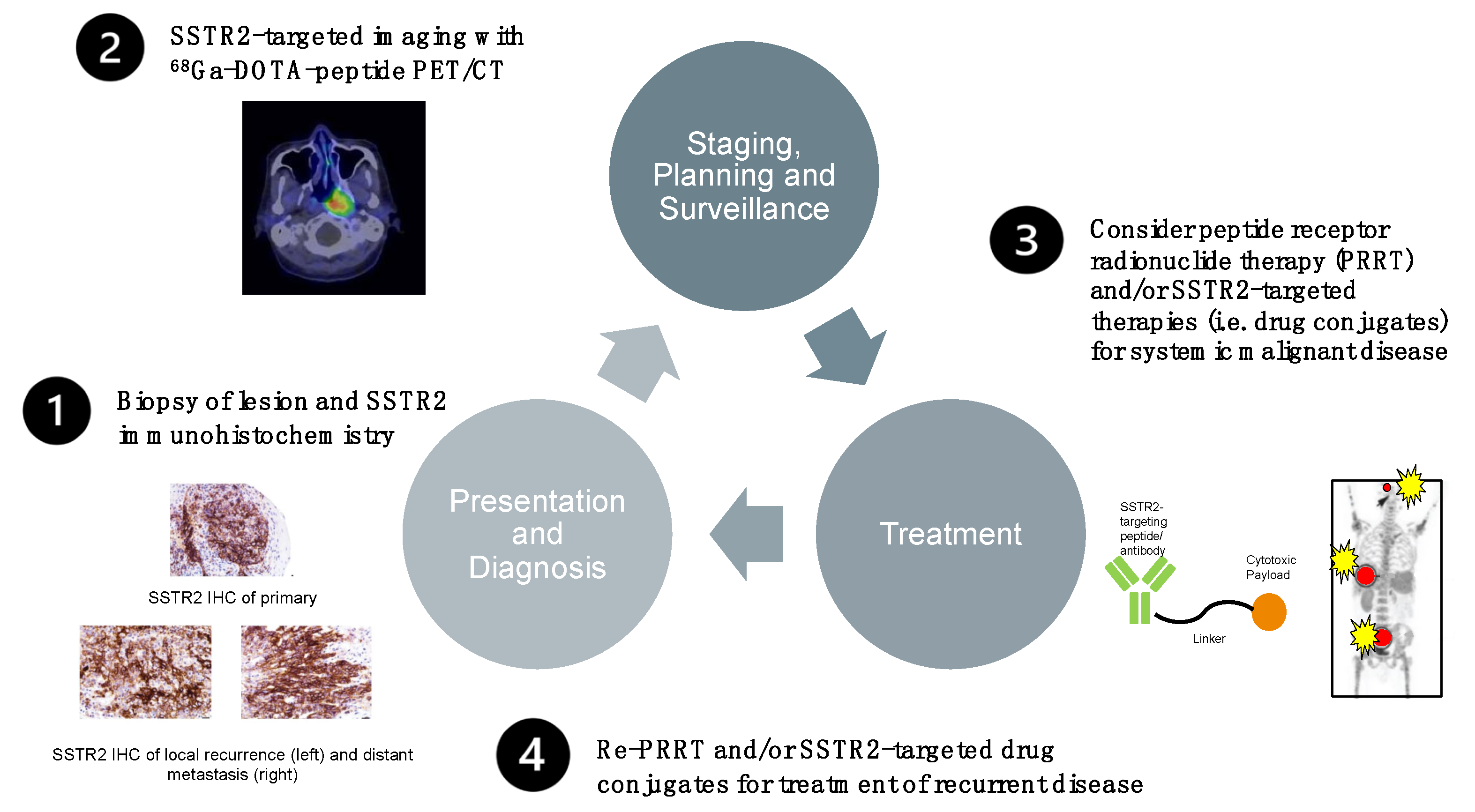 Cancers 13 04944 g005 Cancers 13 04944 g005