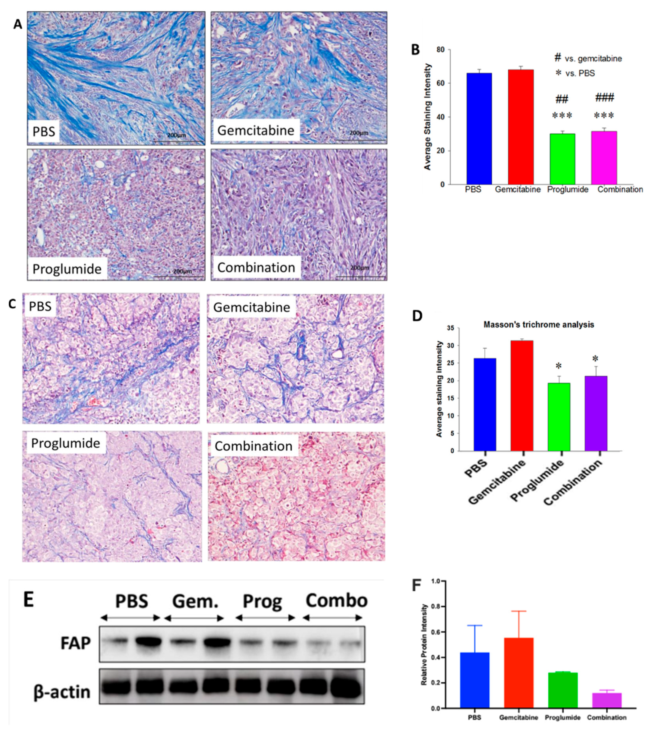 サンプル Hierarchical protein nano-crystalline hydrogel with