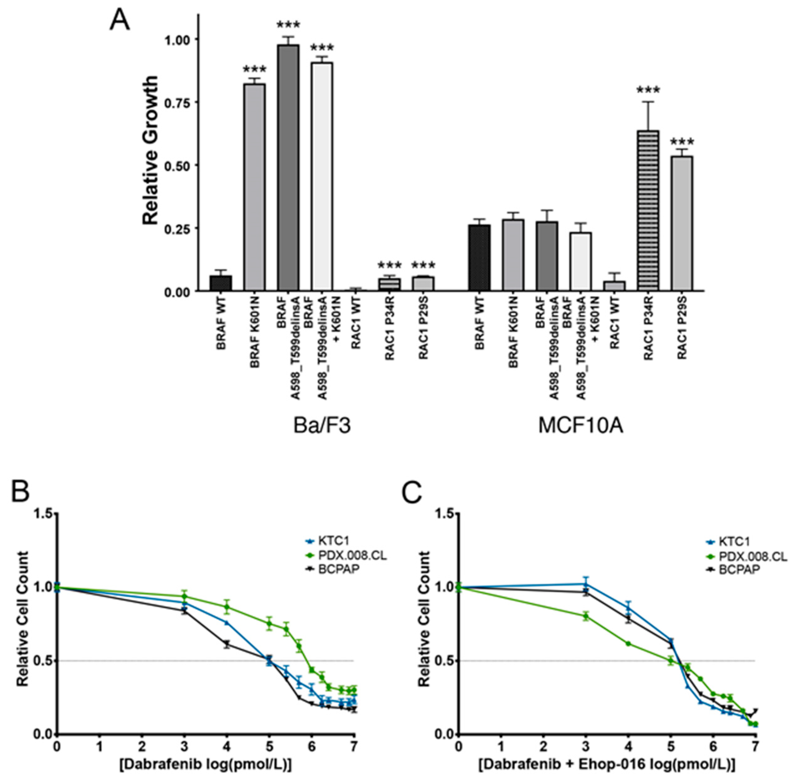 Cancers 13 04950 g002