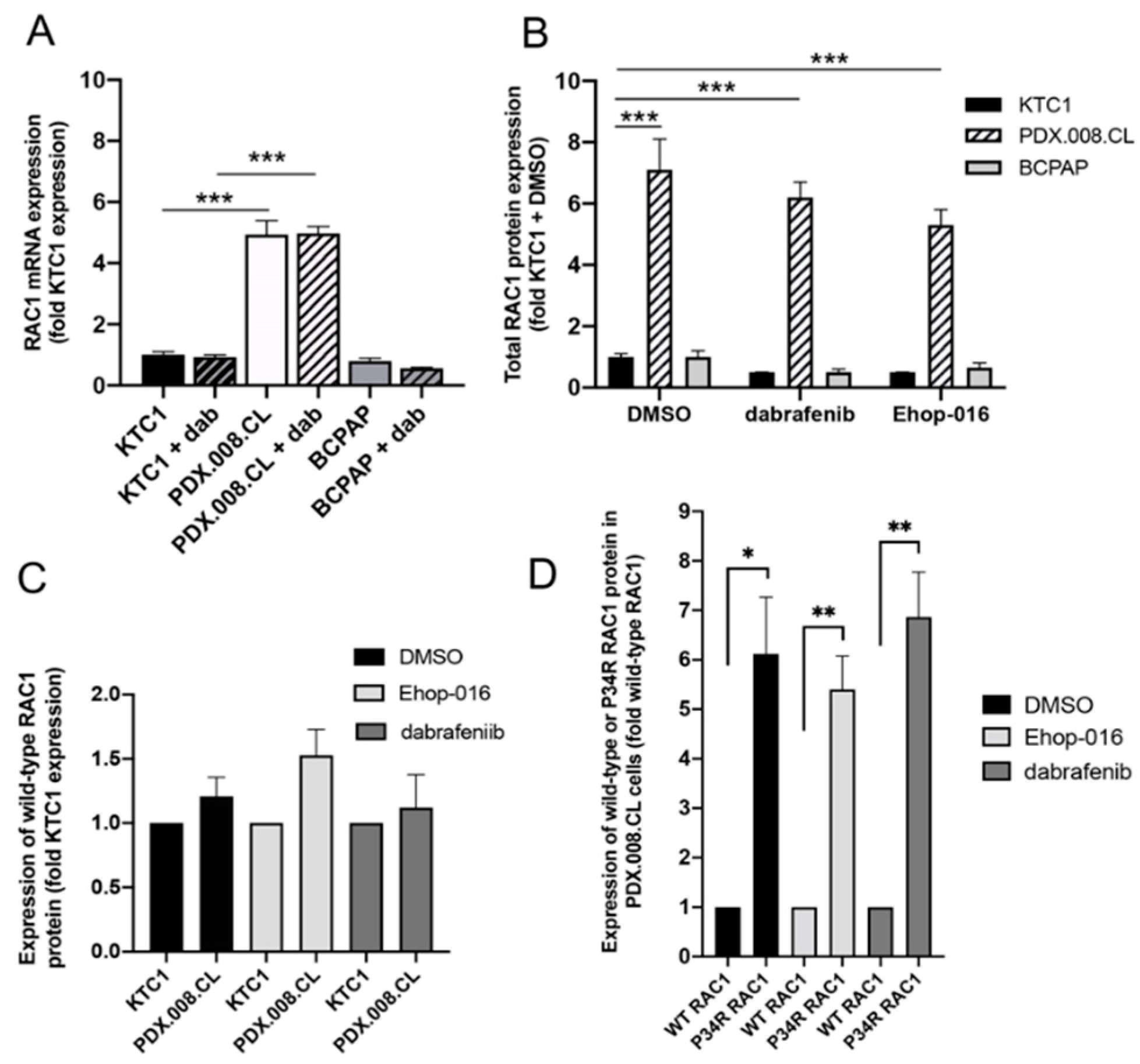 Cancers 13 04950 g003