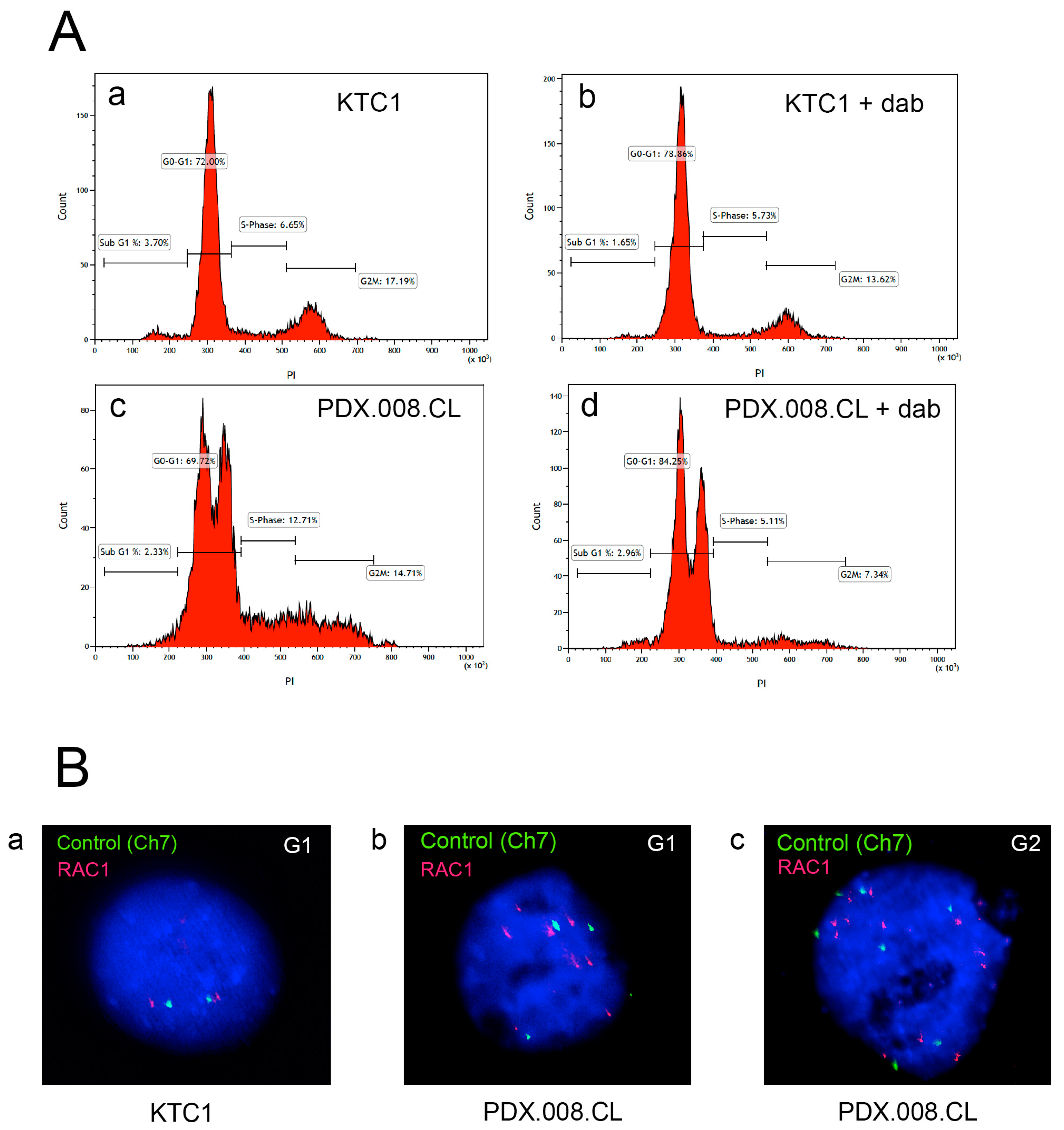 Cancers 13 04950 g004