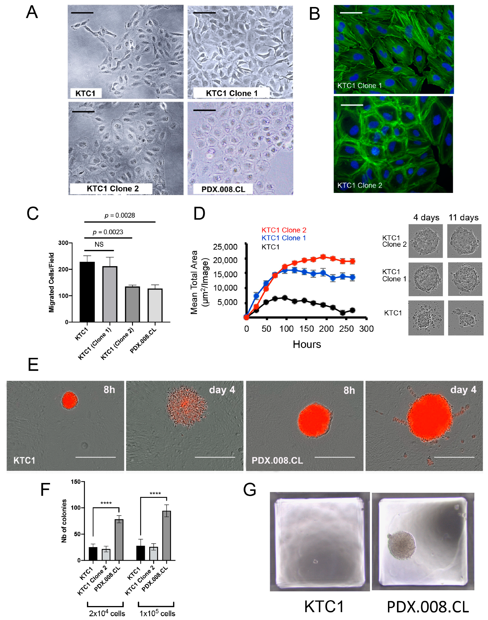 Cancers 13 04950 g006