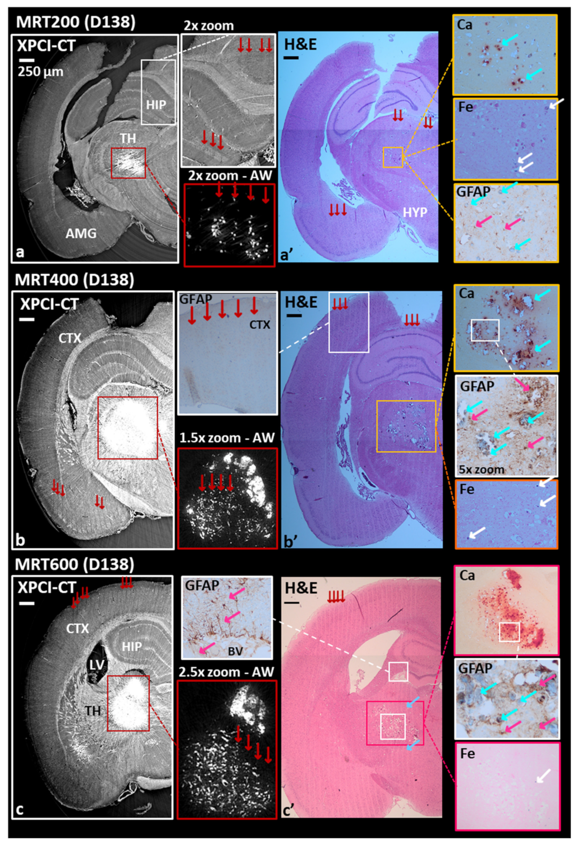 Cancers 13 04953 g003 Cancers 13 04953 g003