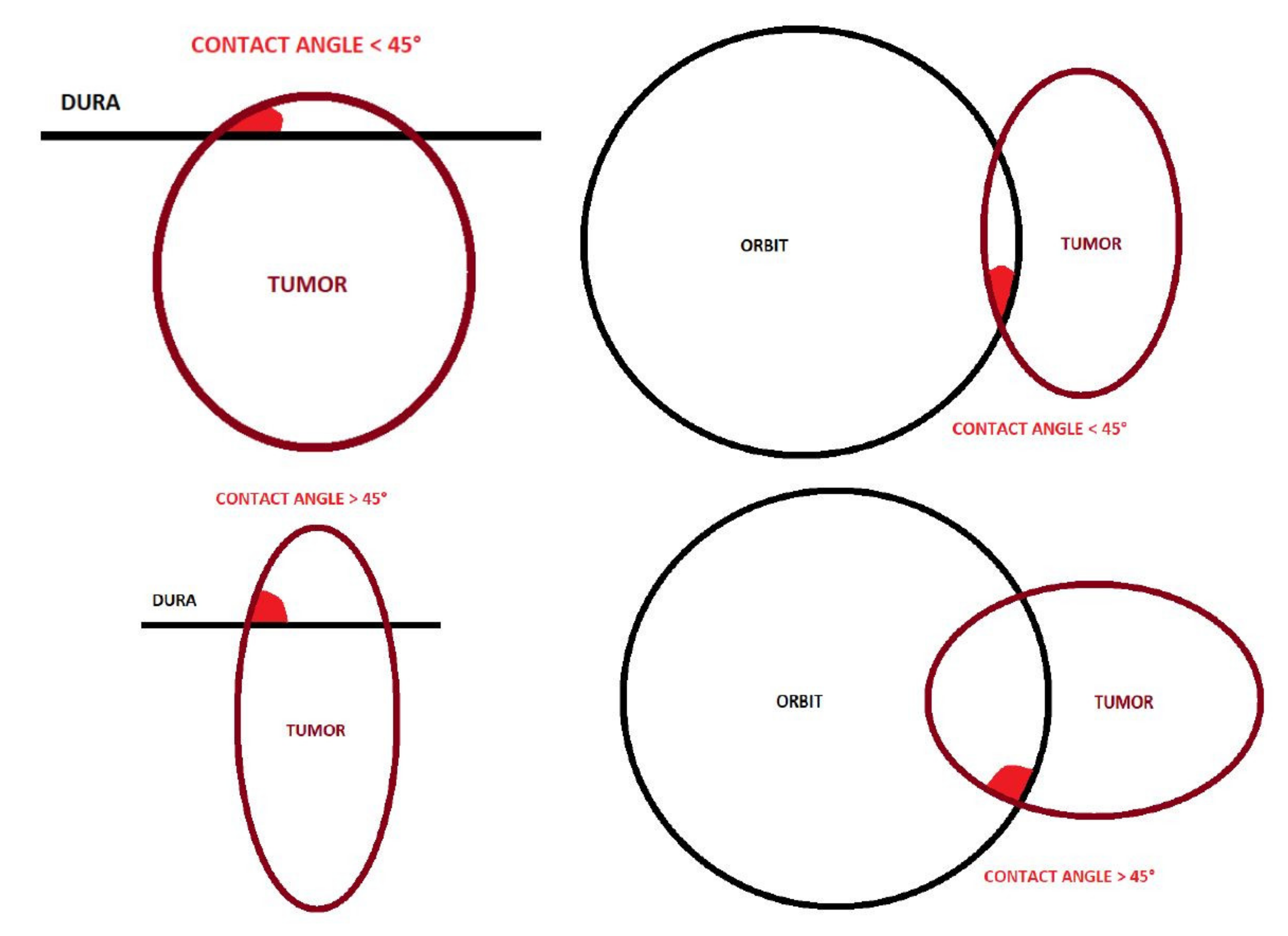 Cancers 13 04963 g0a1